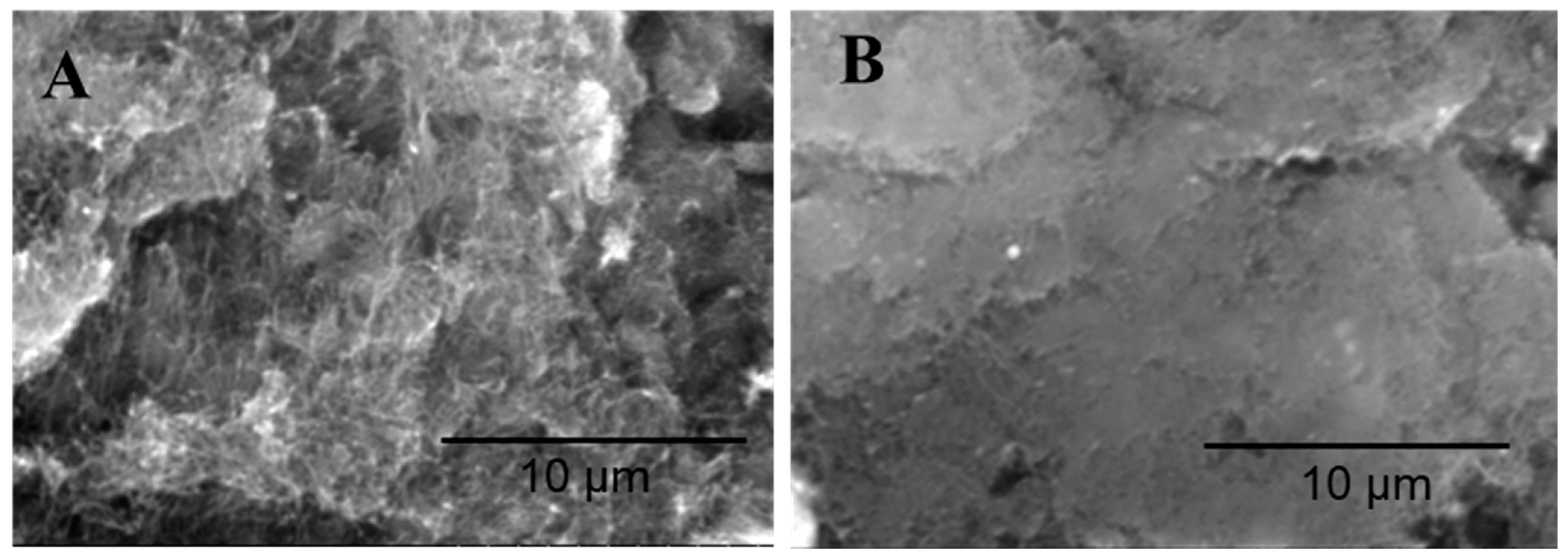 Membranes 13 00657 g001