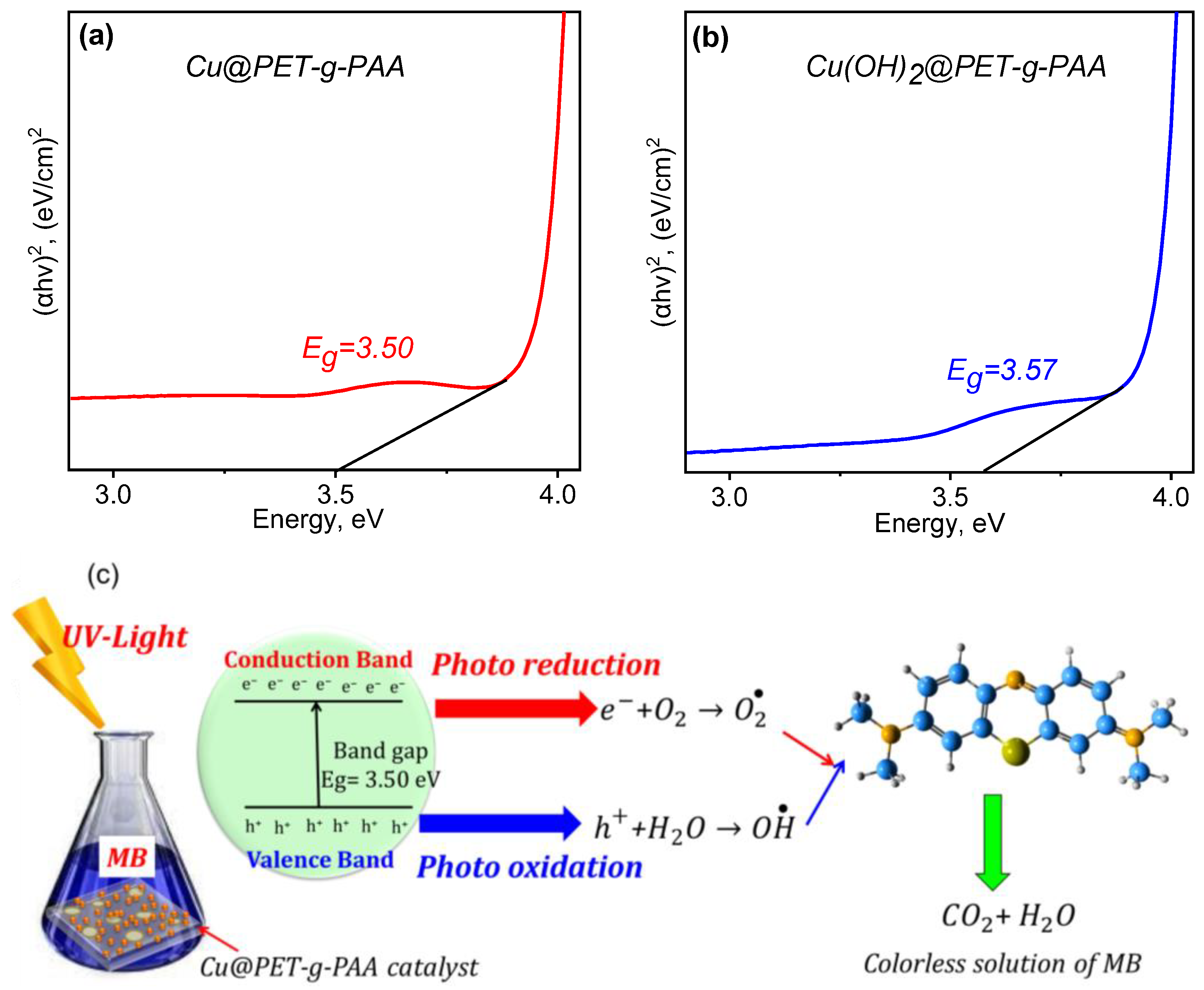 Membranes 13 00659 g011