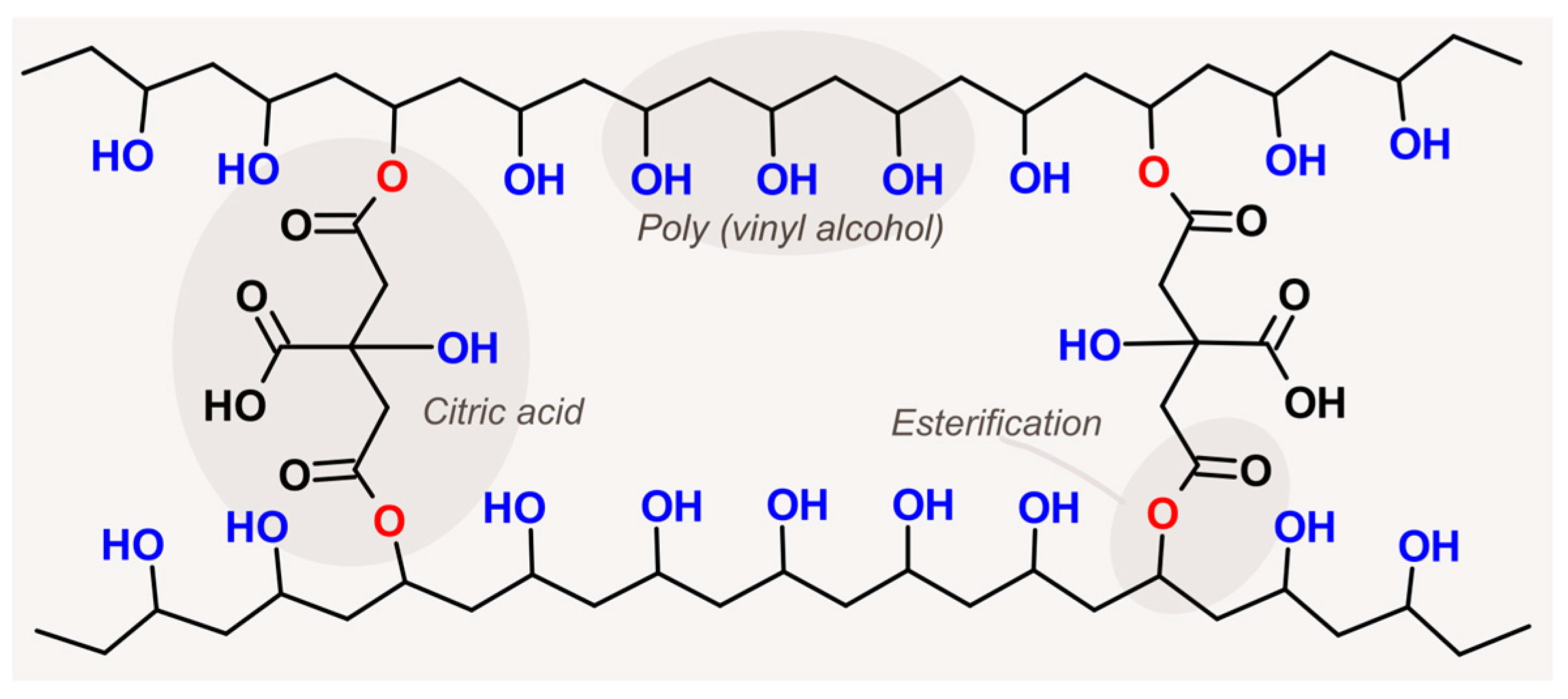 Membranes 13 00662 g001