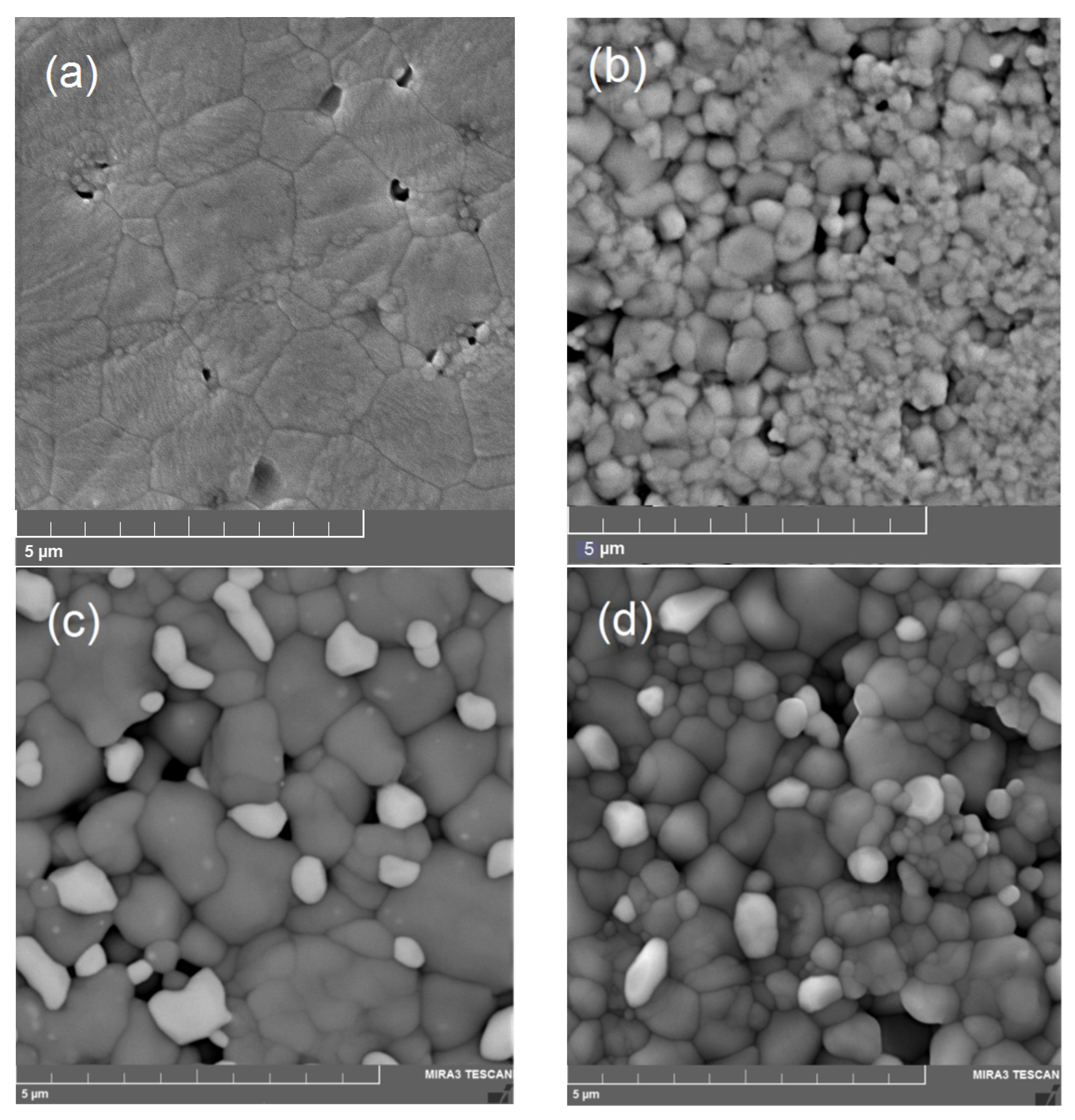 Membranes 13 00663 g004