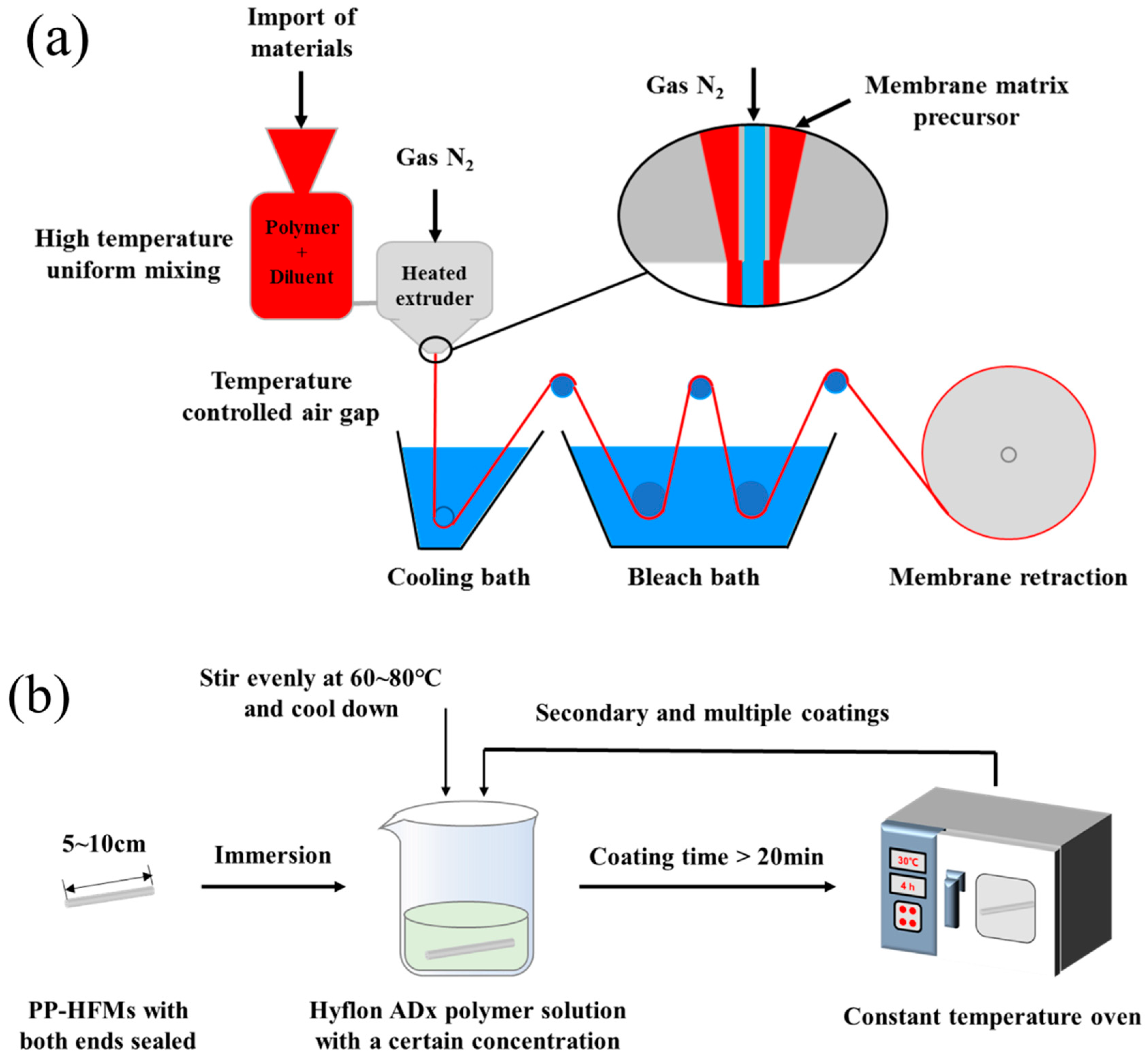 Membranes 13 00665 g002