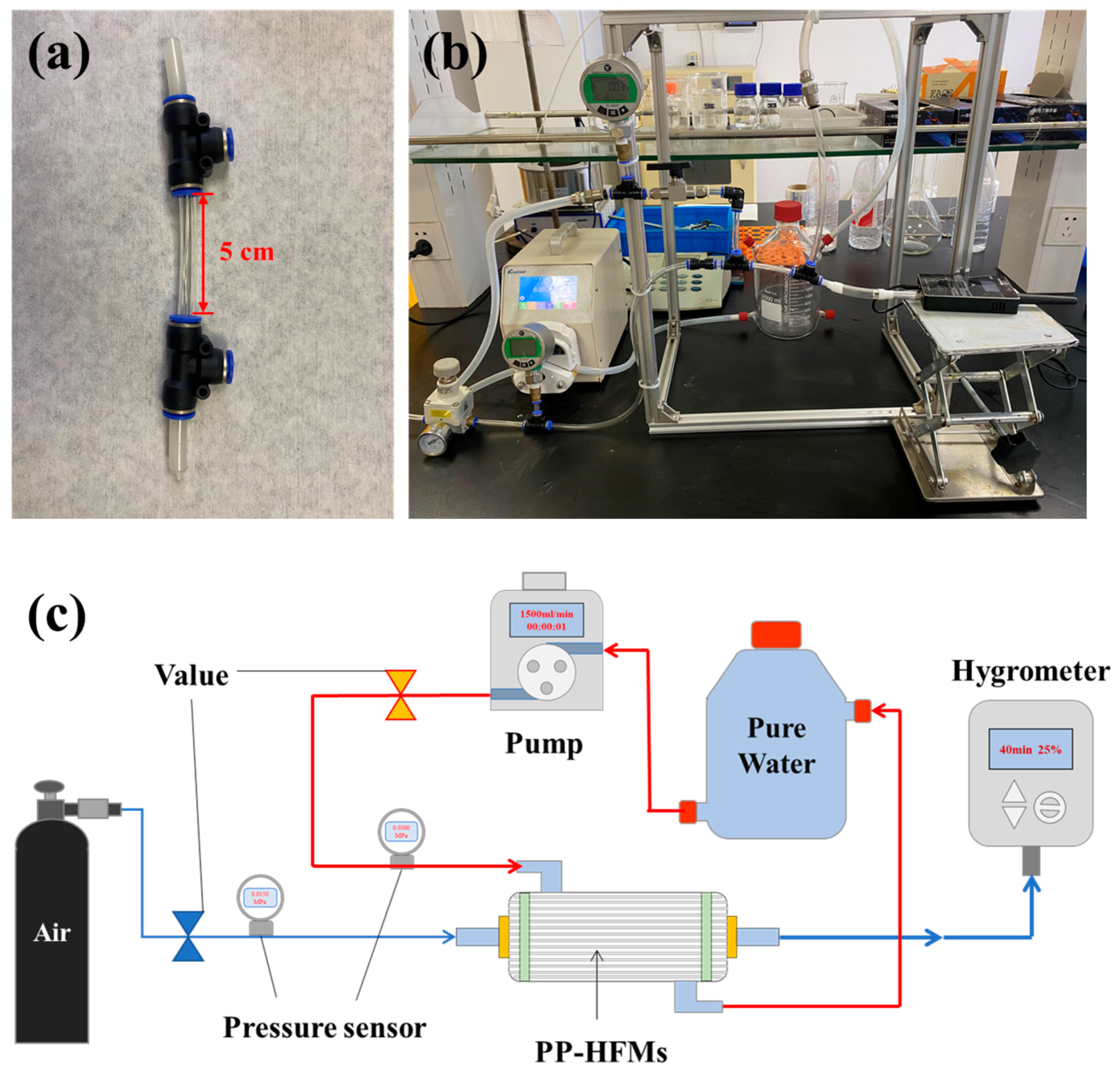 Membranes 13 00665 g004
