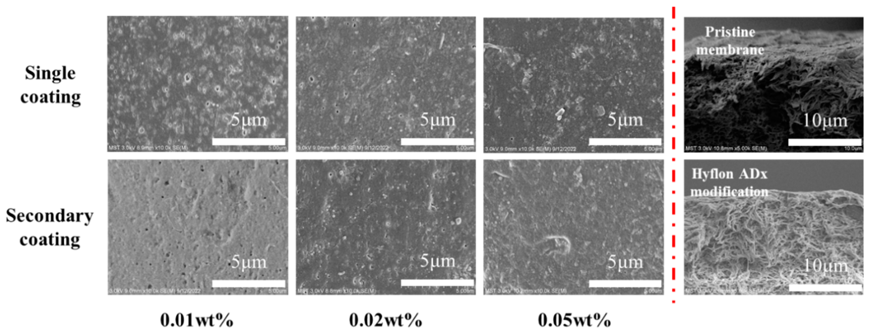 Membranes 13 00665 g008