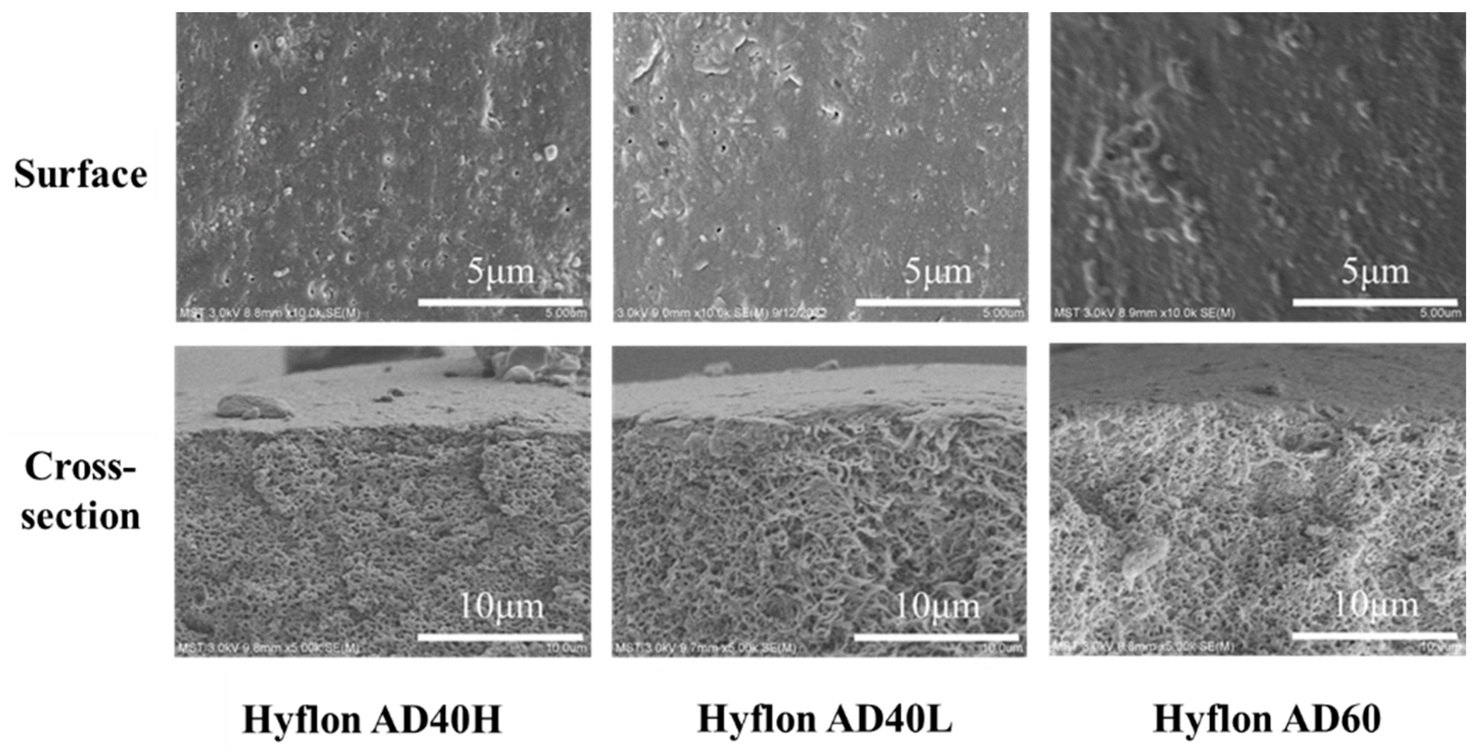 Membranes 13 00665 g010