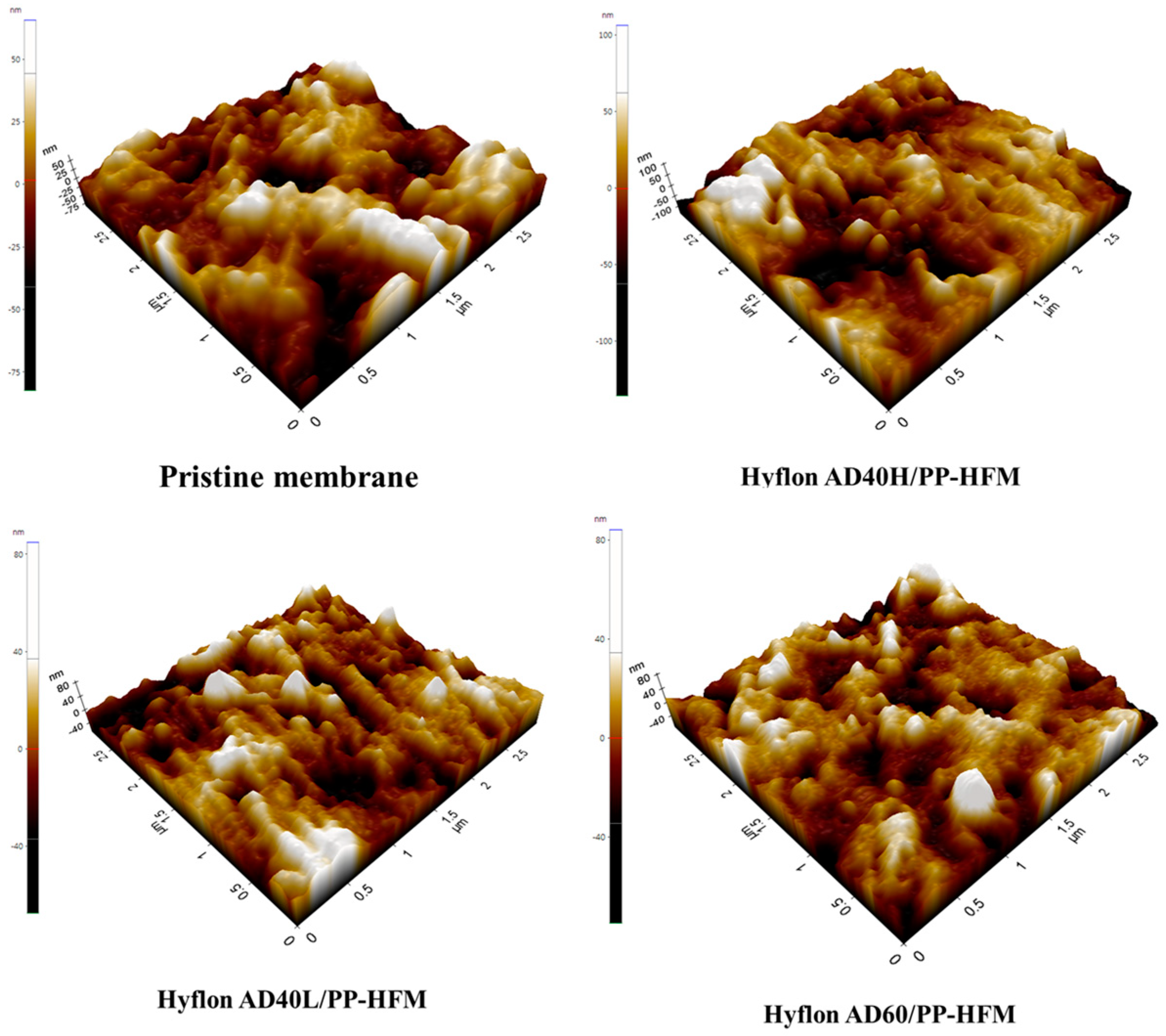 Membranes 13 00665 g011