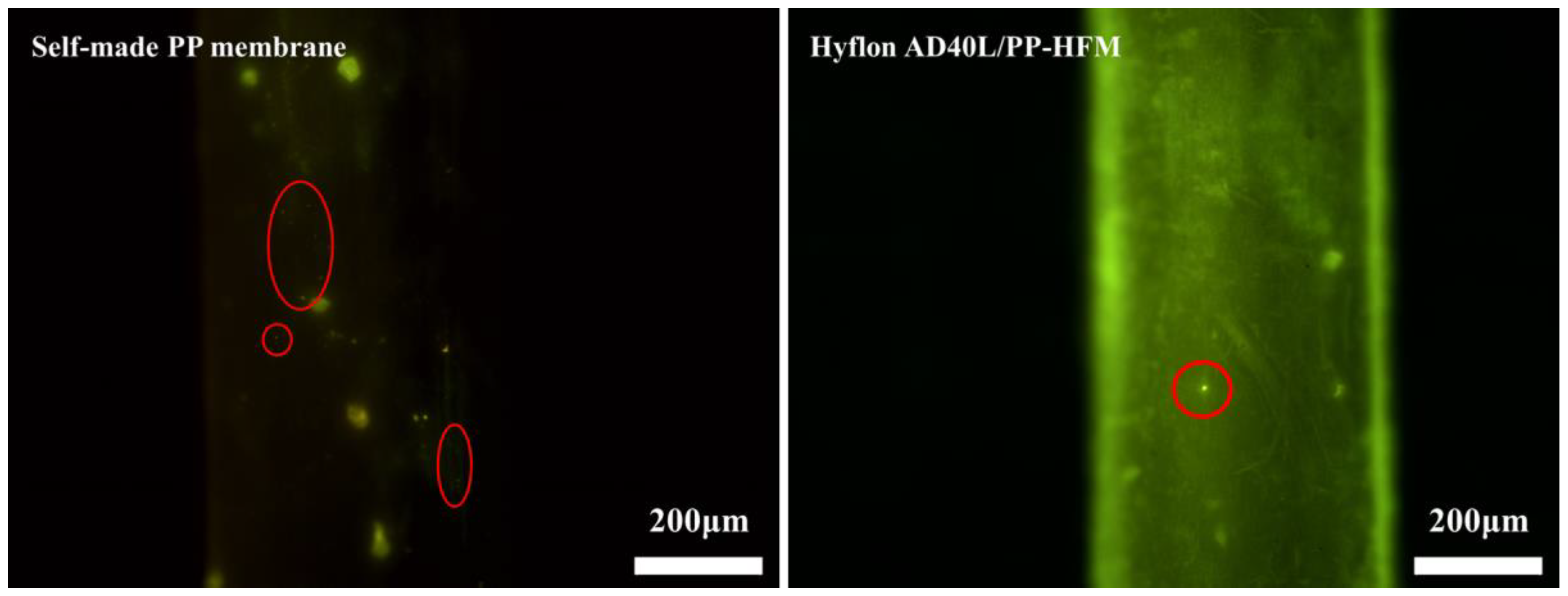 Membranes 13 00665 g014