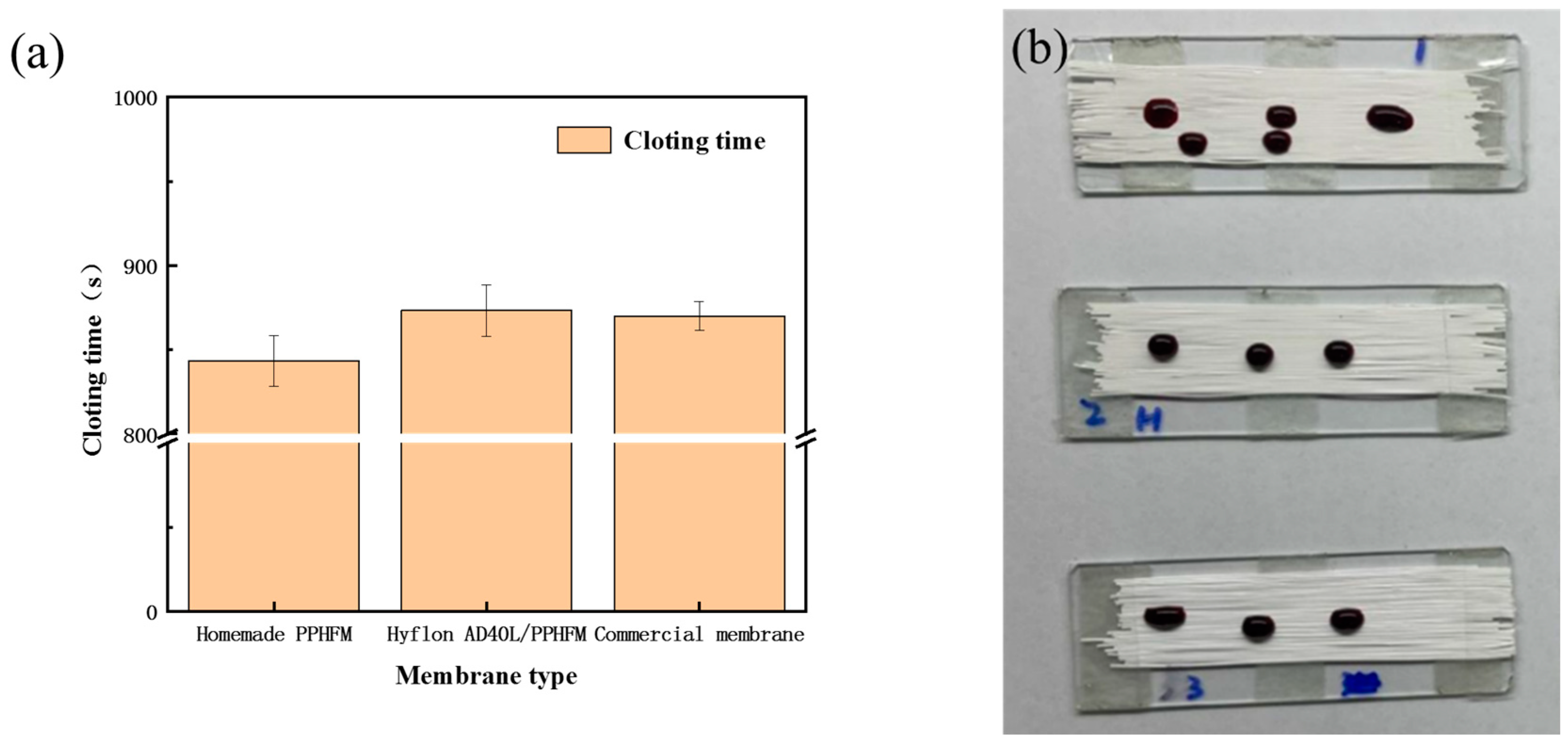Membranes 13 00665 g015