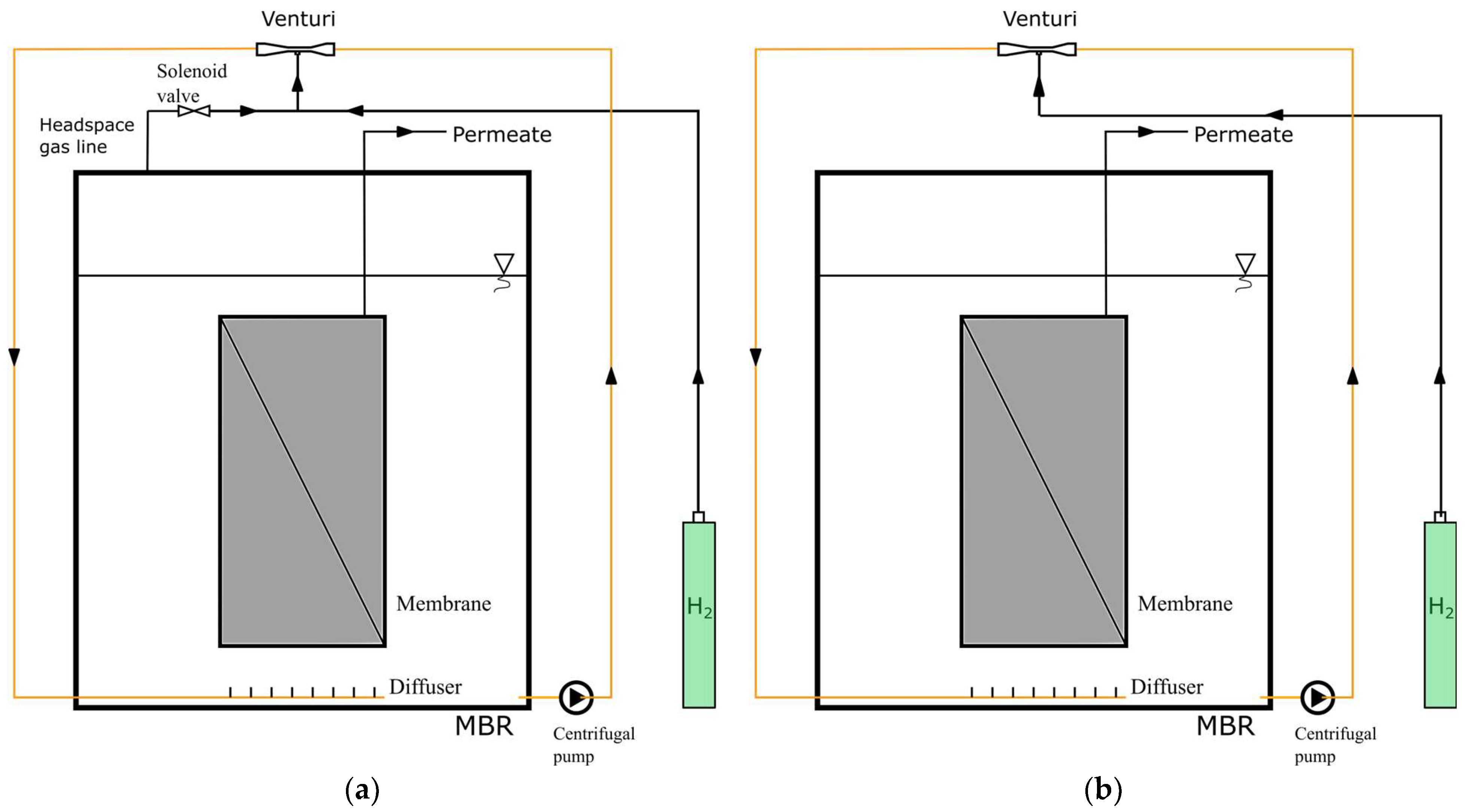 Membranes 13 00666 g002