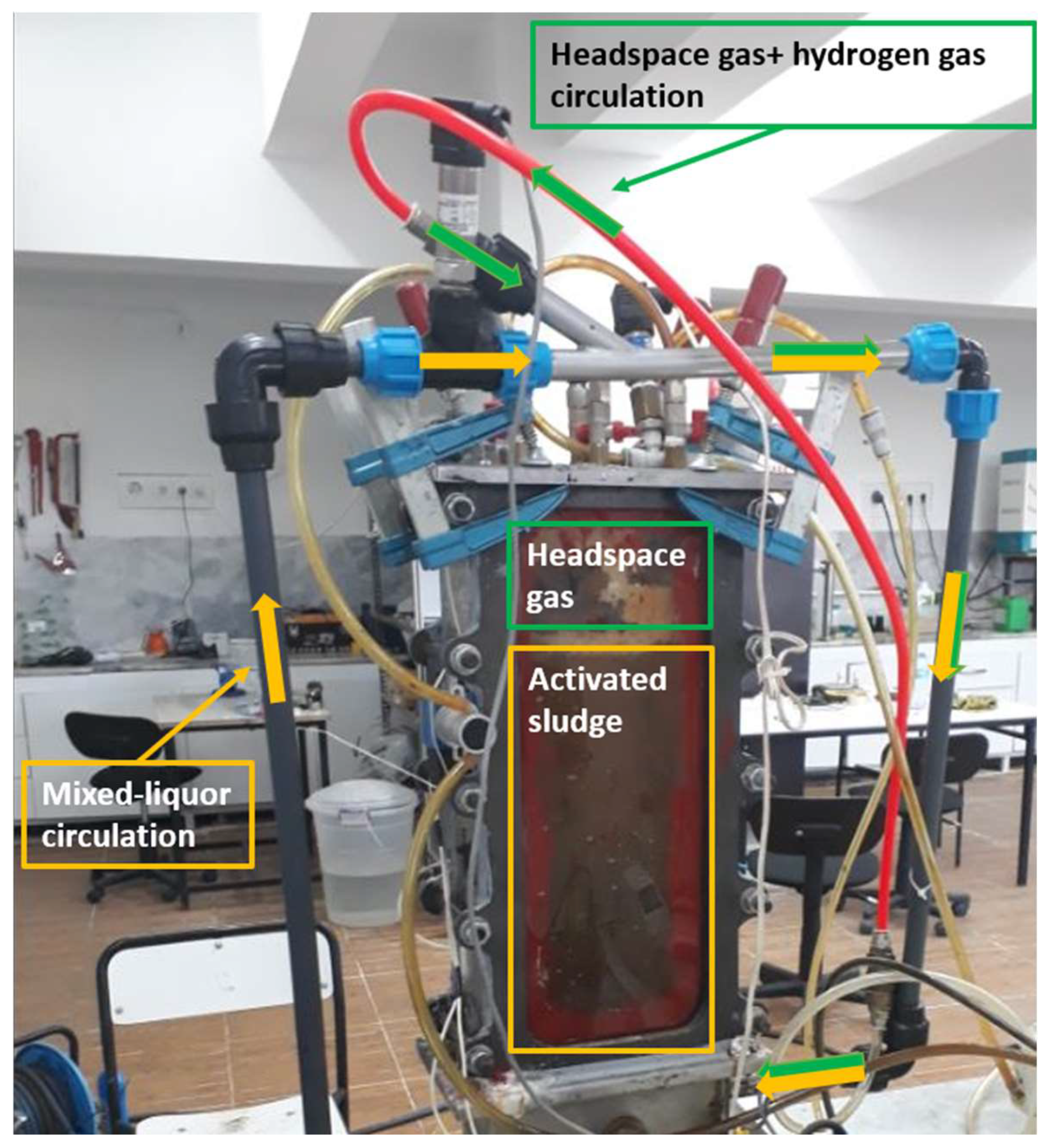 Membranes 13 00666 g003