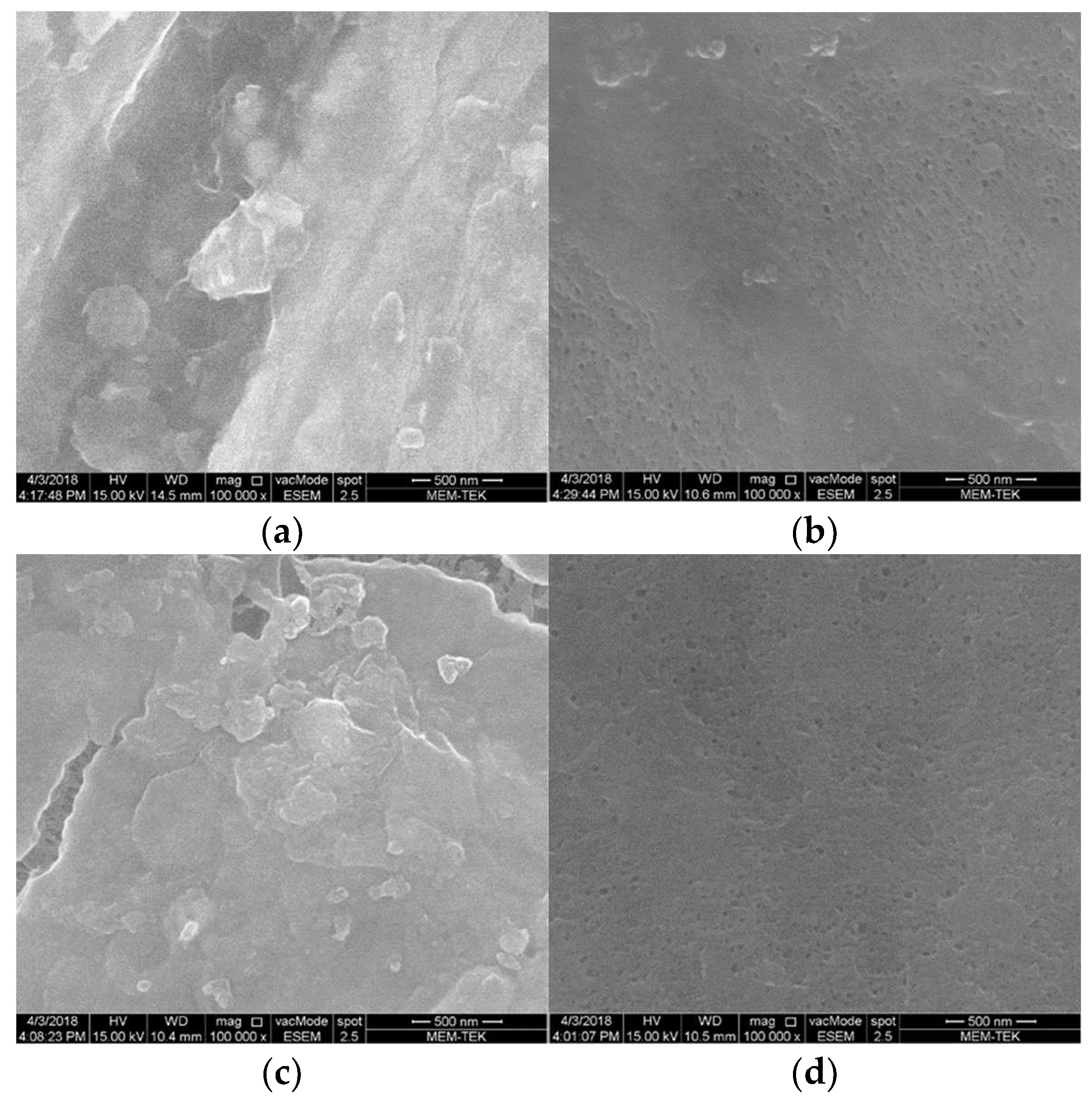 Membranes 13 00666 g010