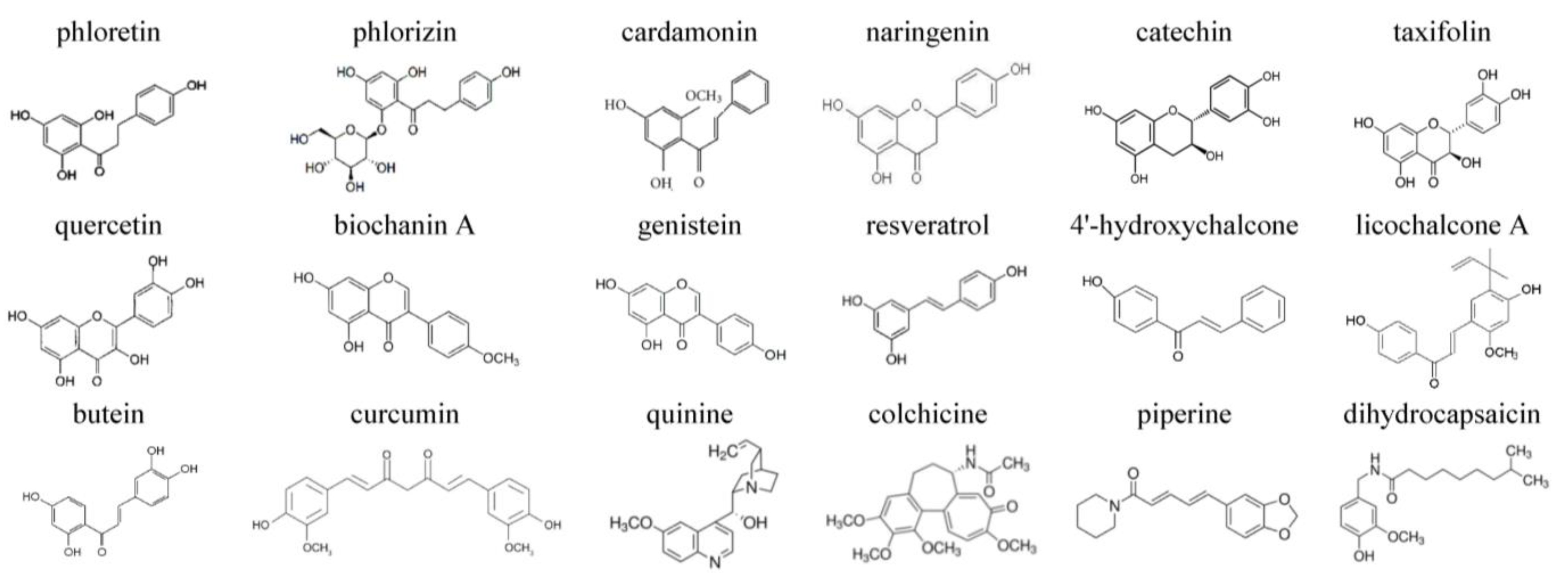 Membranes 13 00670 g001