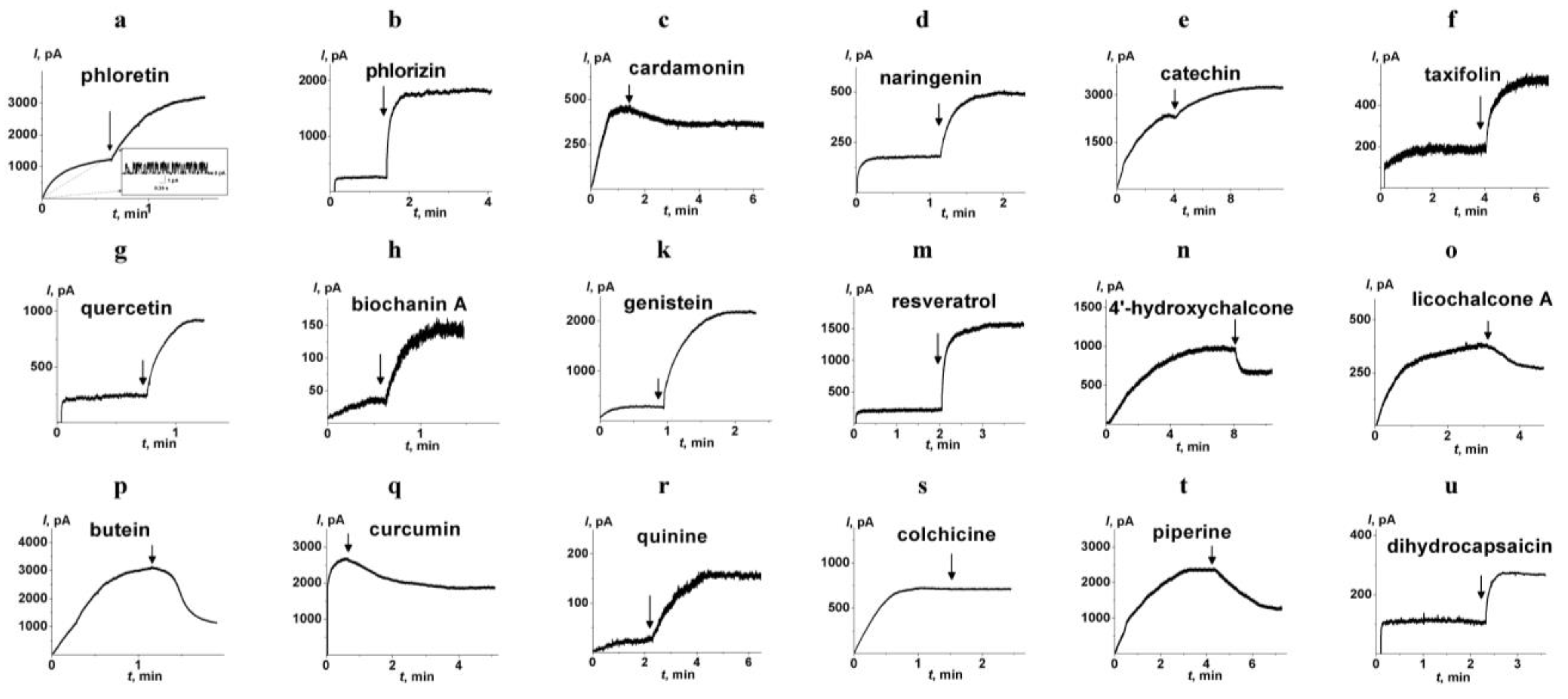 Membranes 13 00670 g003