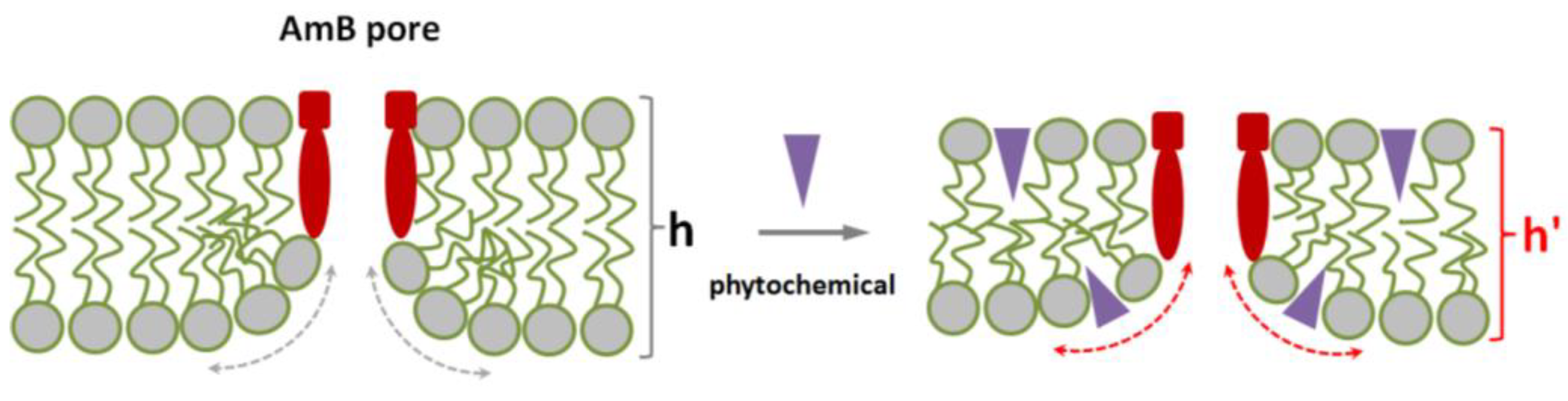 Membranes 13 00670 g006