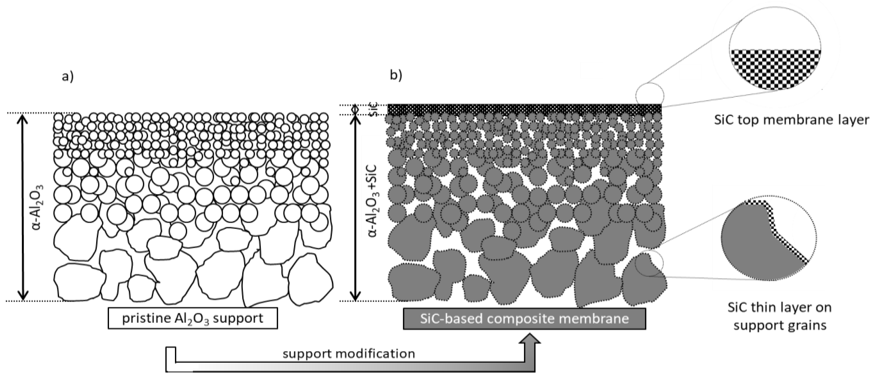 Membranes 13 00672 g001