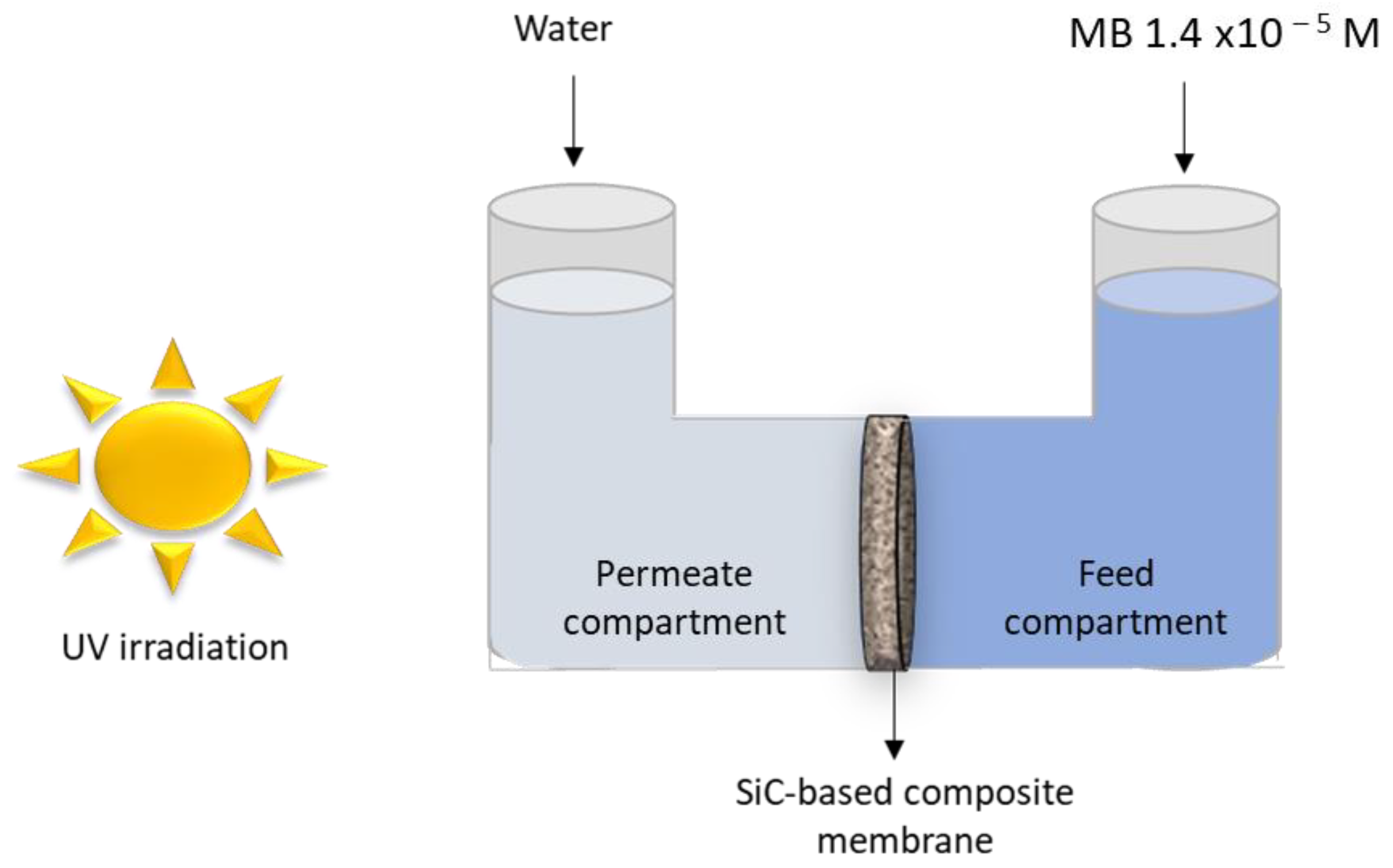 Membranes 13 00672 g002