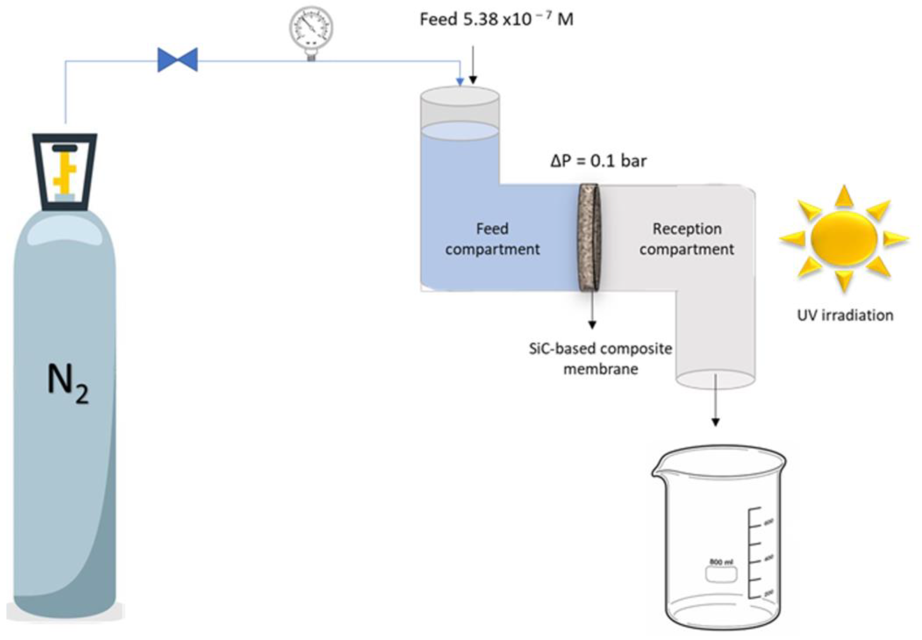 Membranes 13 00672 g003