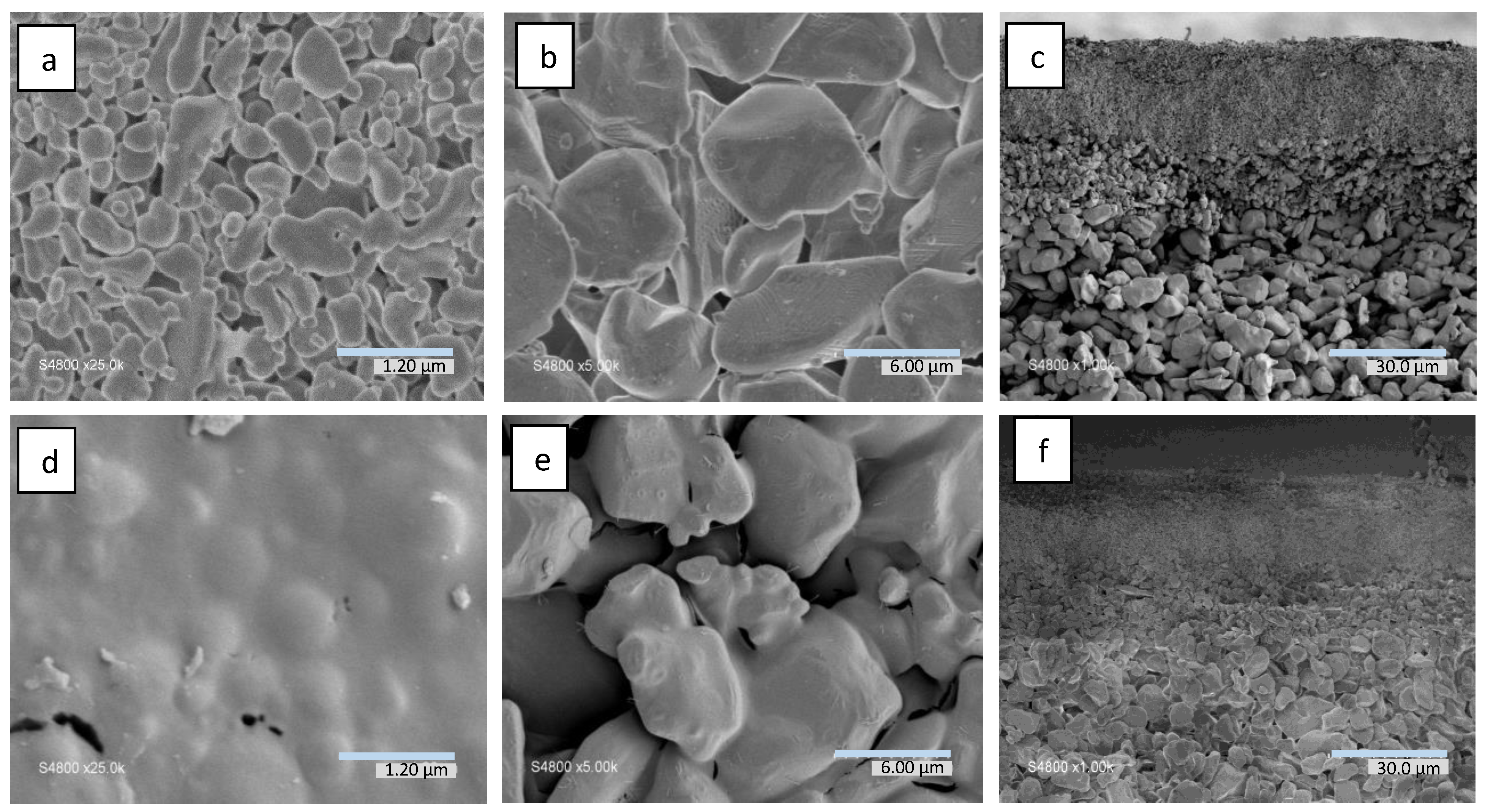 Membranes 13 00672 g006