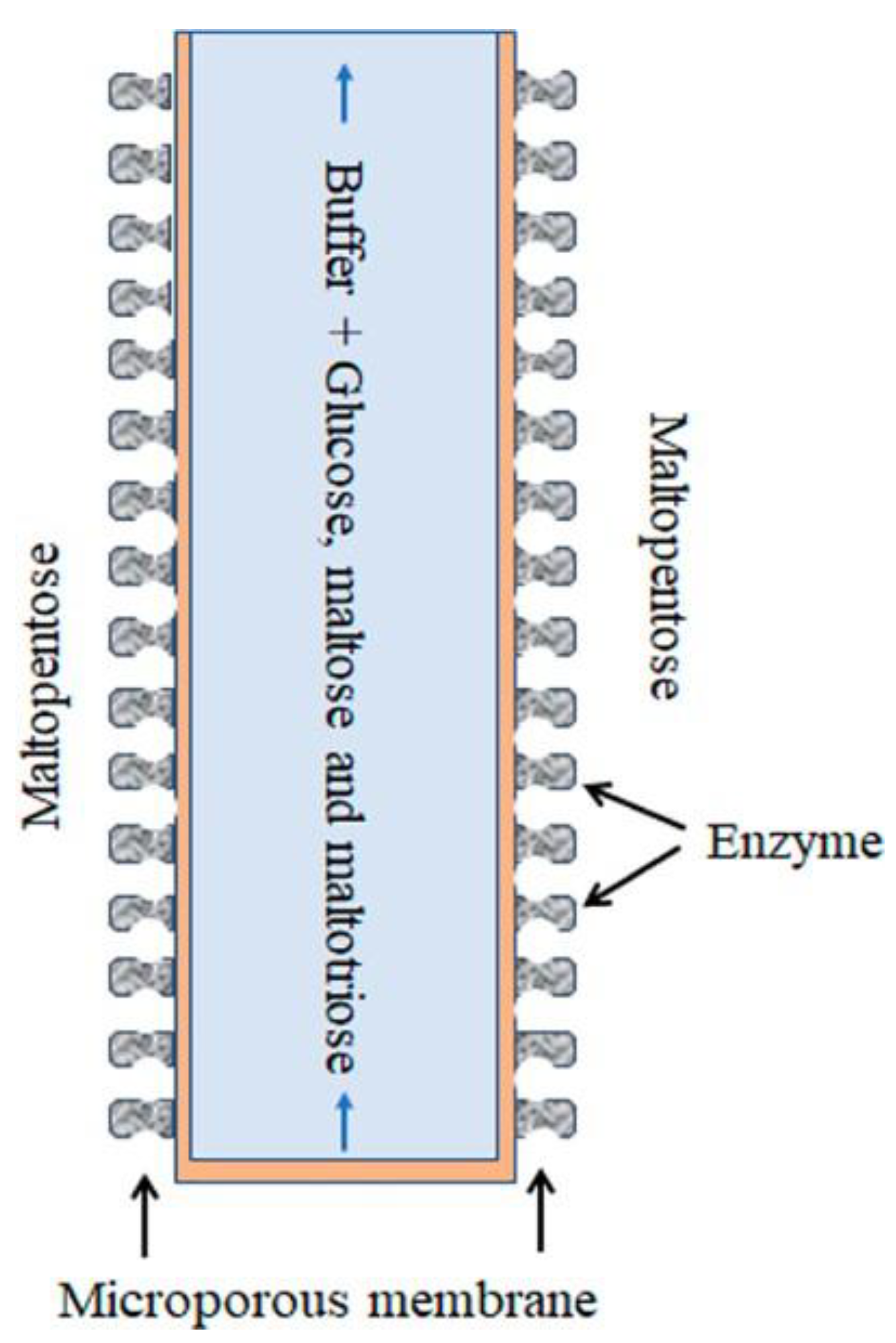 Membranes 13 00673 g001