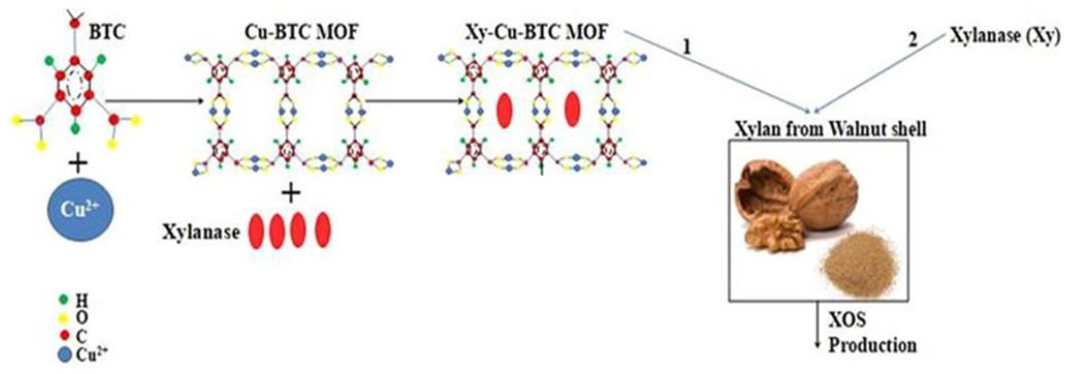 Membranes 13 00673 g002