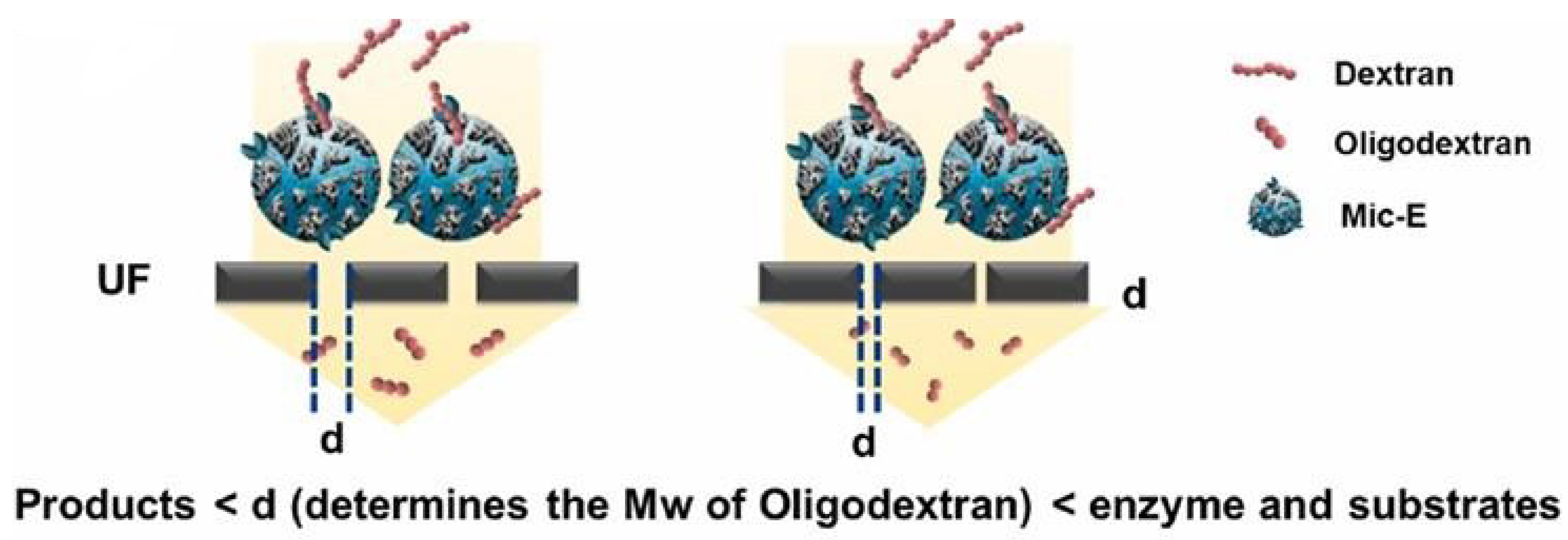 Membranes 13 00673 g003