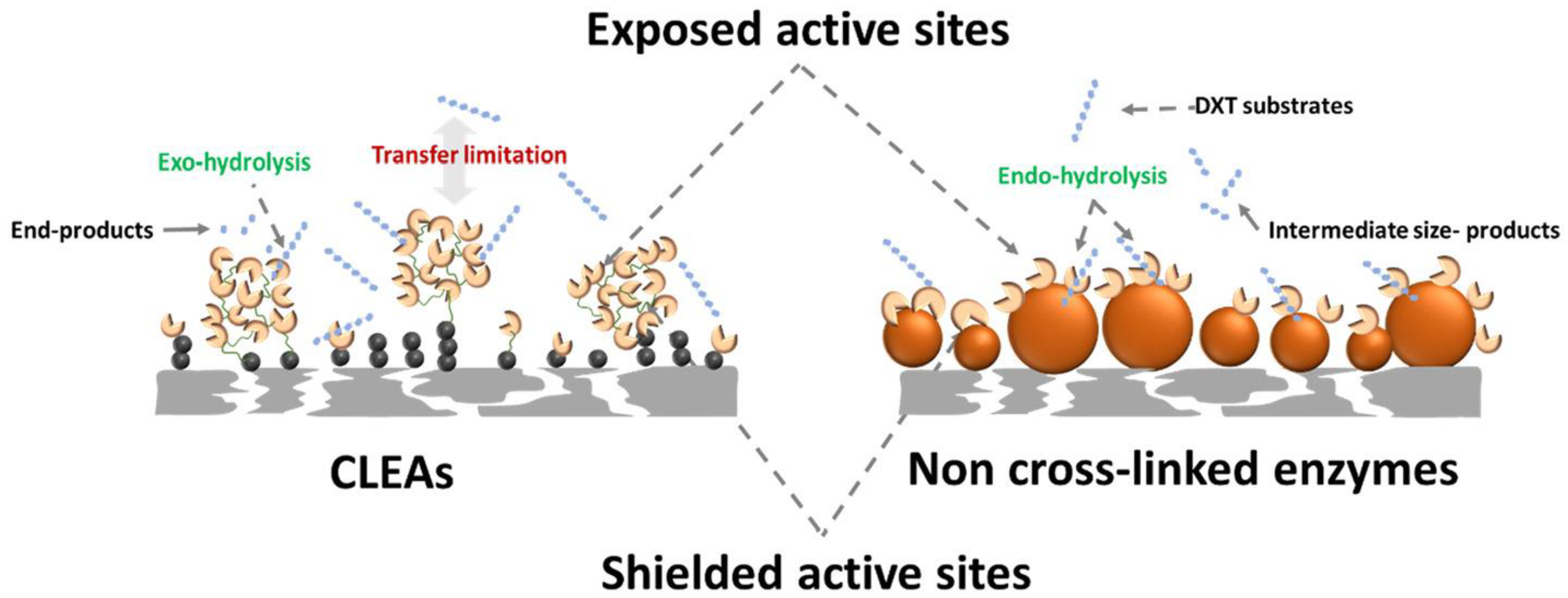 Membranes 13 00673 g005