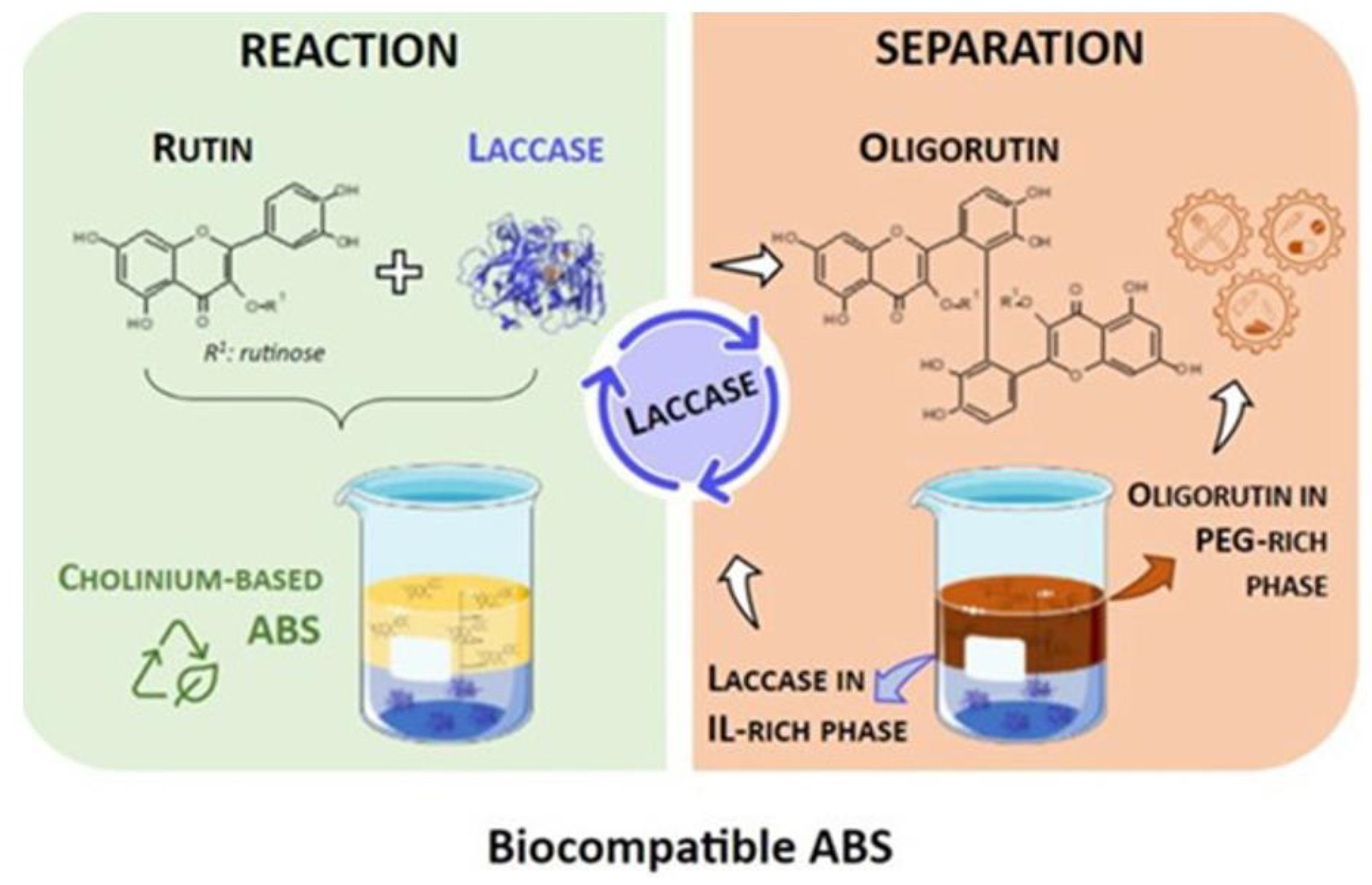 Membranes 13 00673 g006
