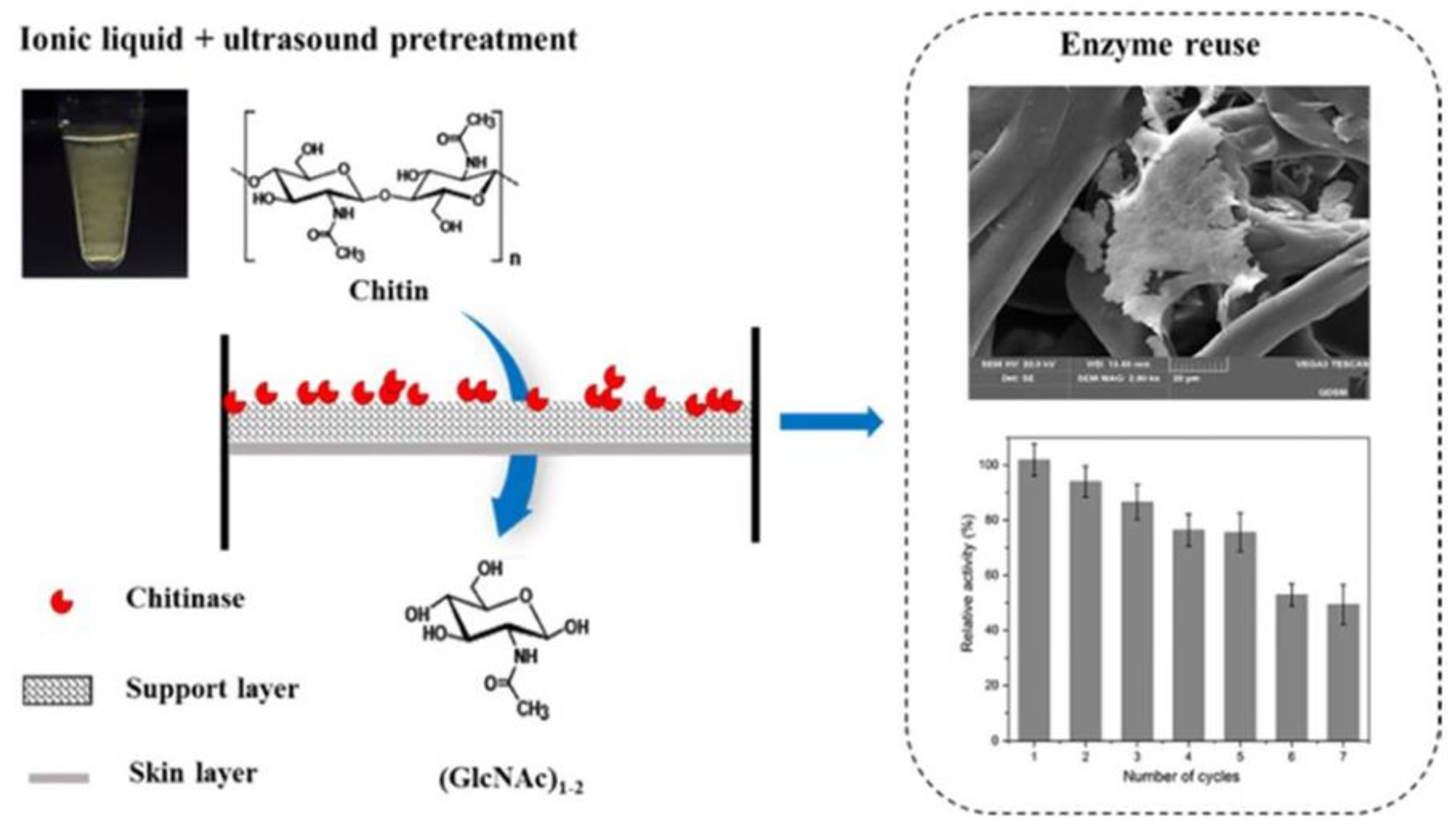 Membranes 13 00673 g008
