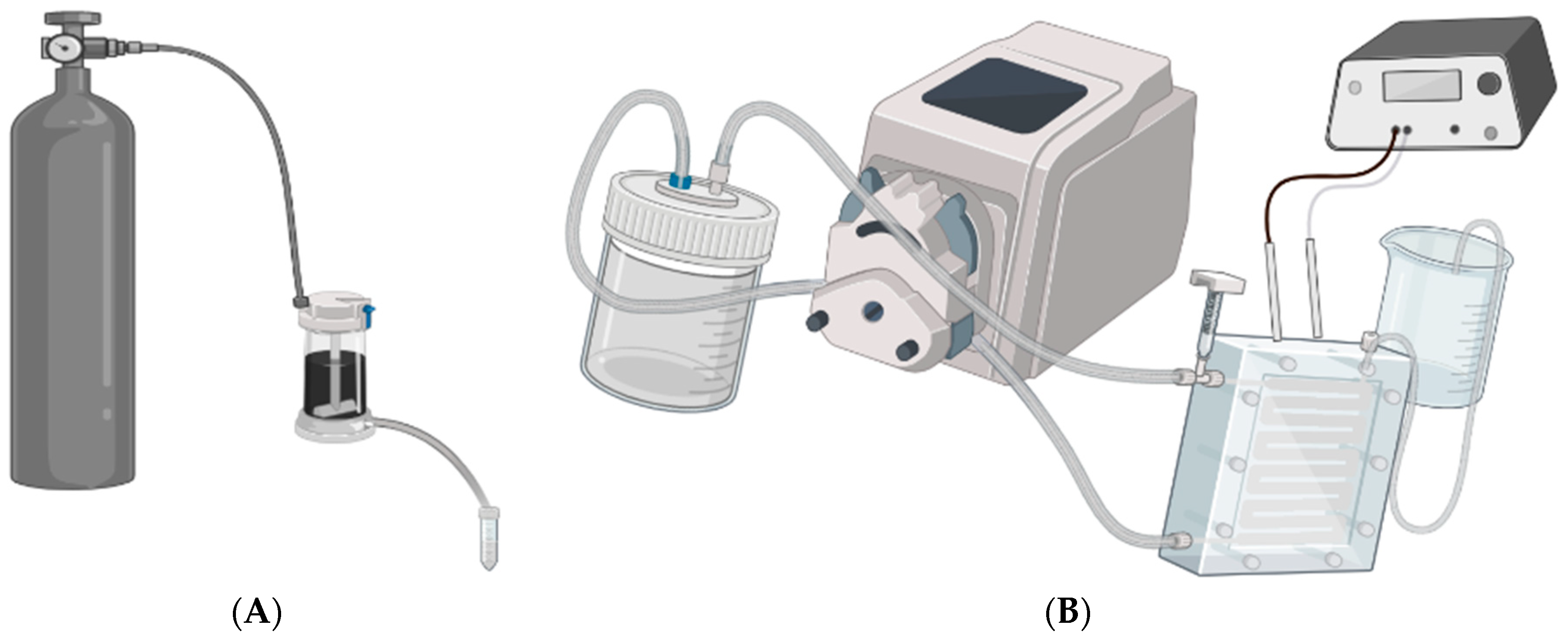 Membranes 13 00675 g001 Membranes 13 00675 g001