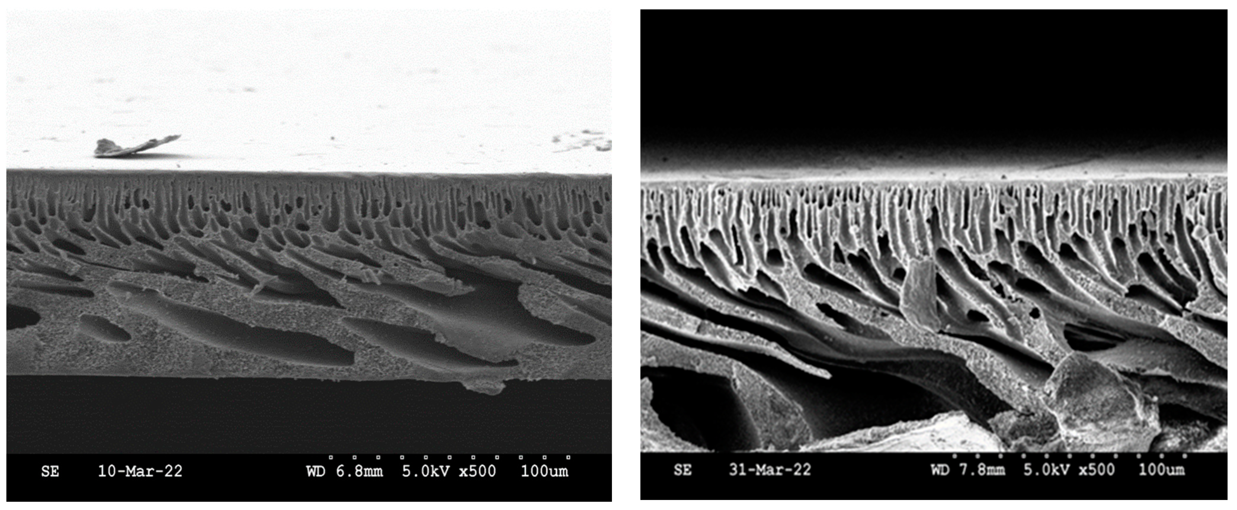 Membranes 13 00675 g006 Membranes 13 00675 g006
