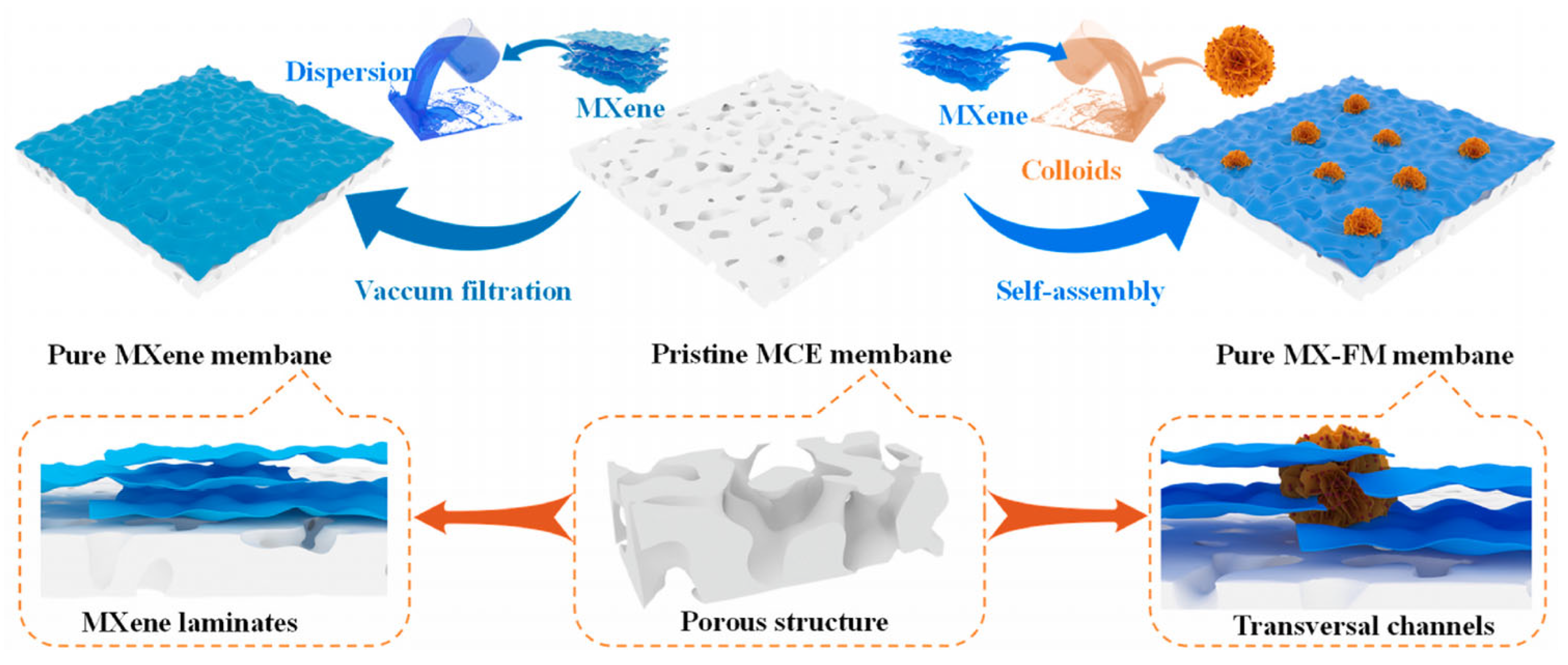 Membranes 13 00677 g002 Membranes 13 00677 g002