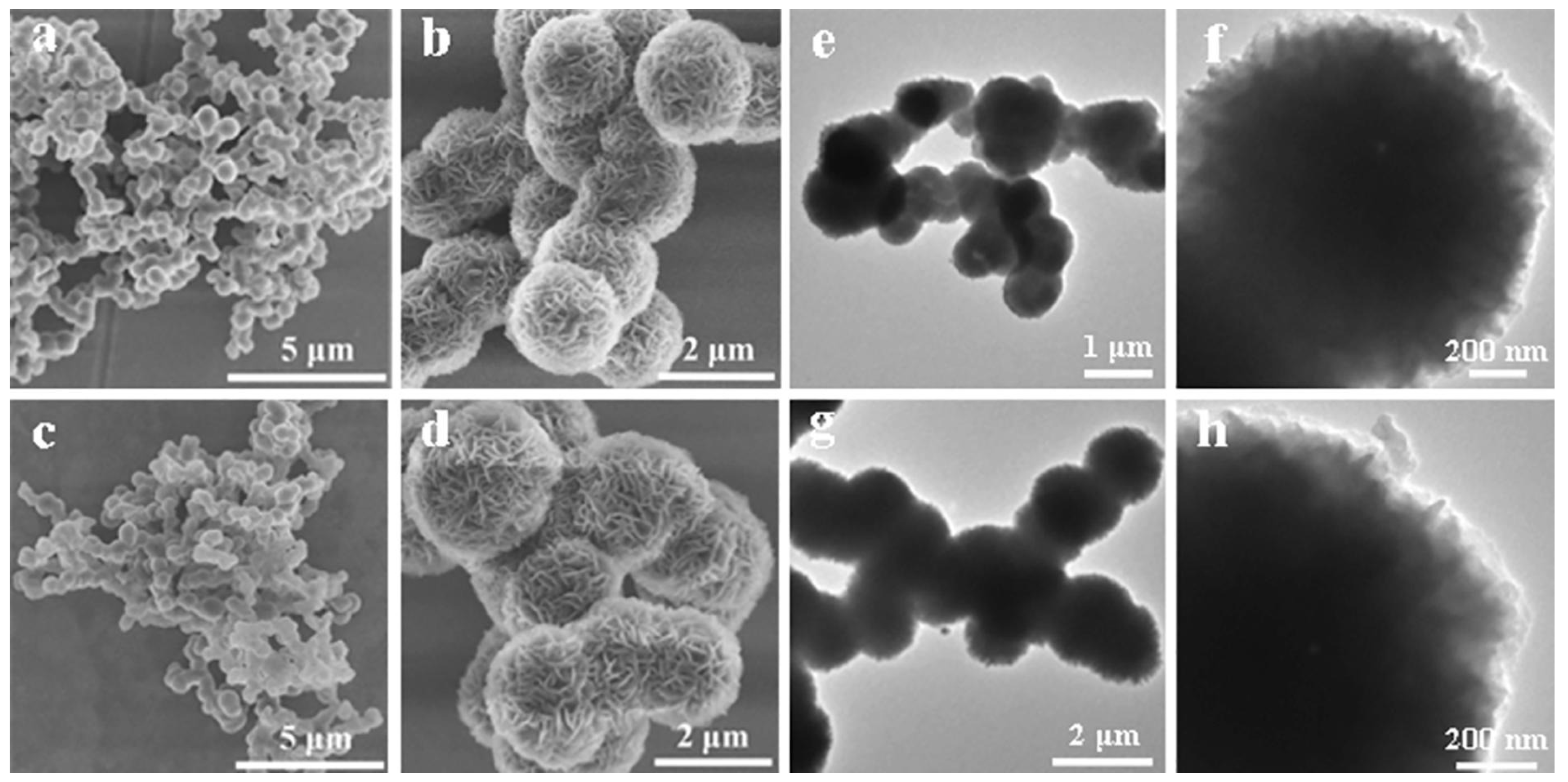 Membranes 13 00677 g005 Membranes 13 00677 g005