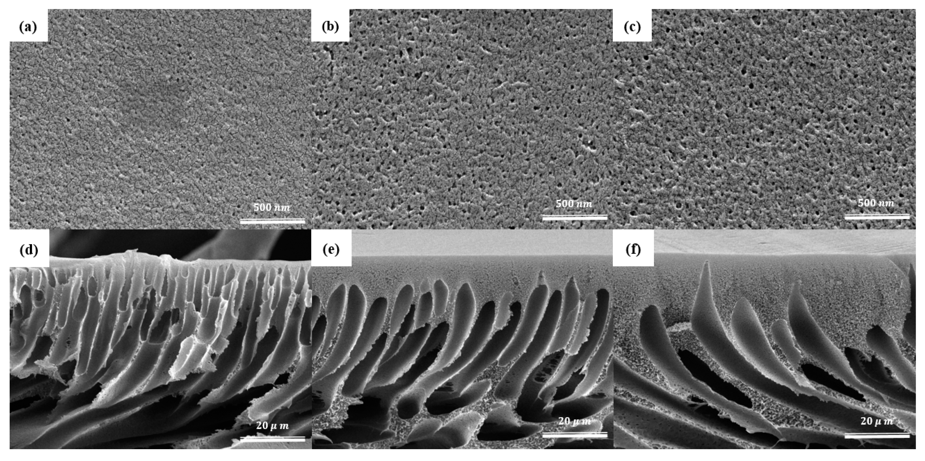 Membranes 13 00678 g004 Membranes 13 00678 g004