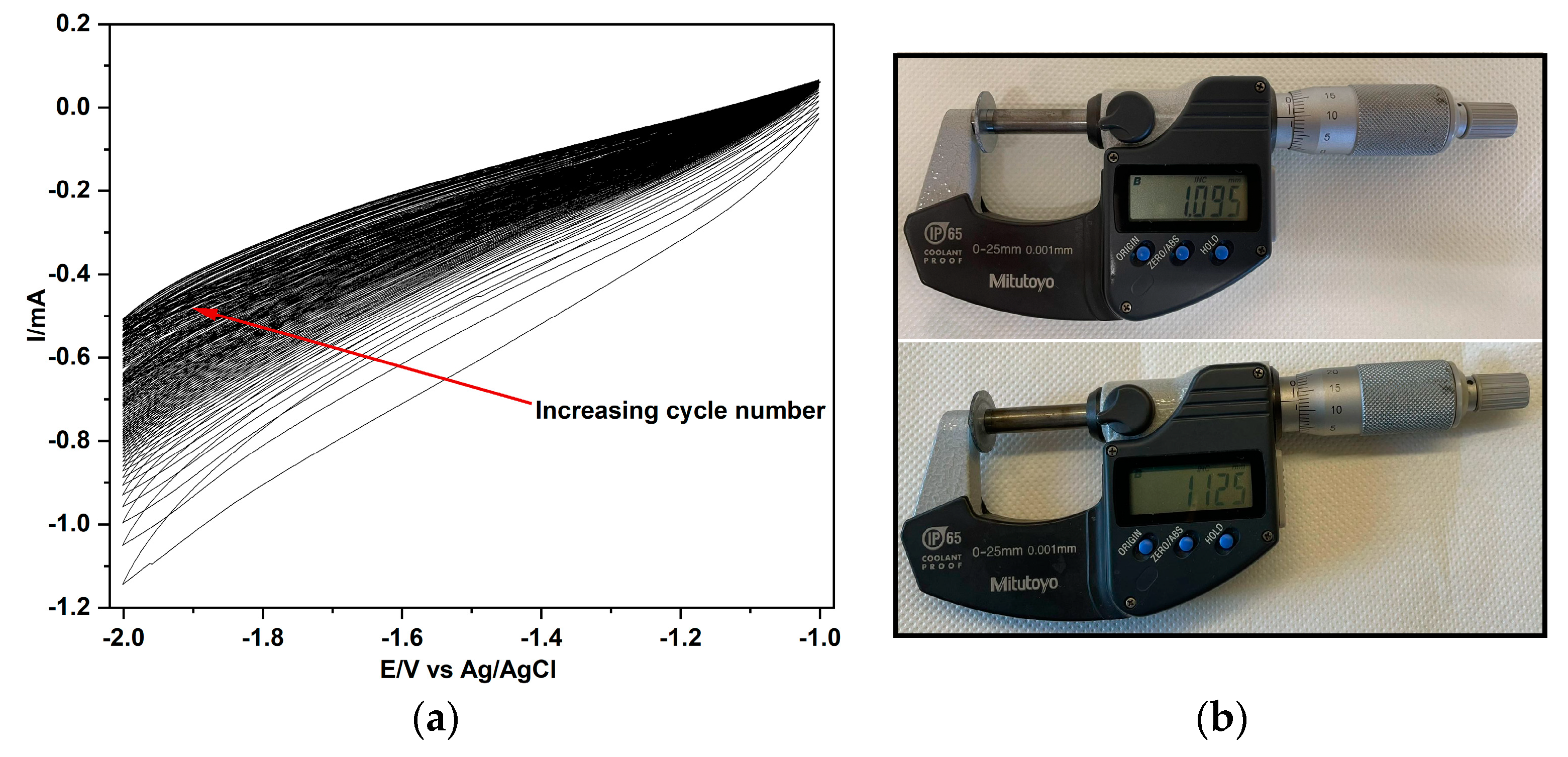 Membranes 13 00680 g001