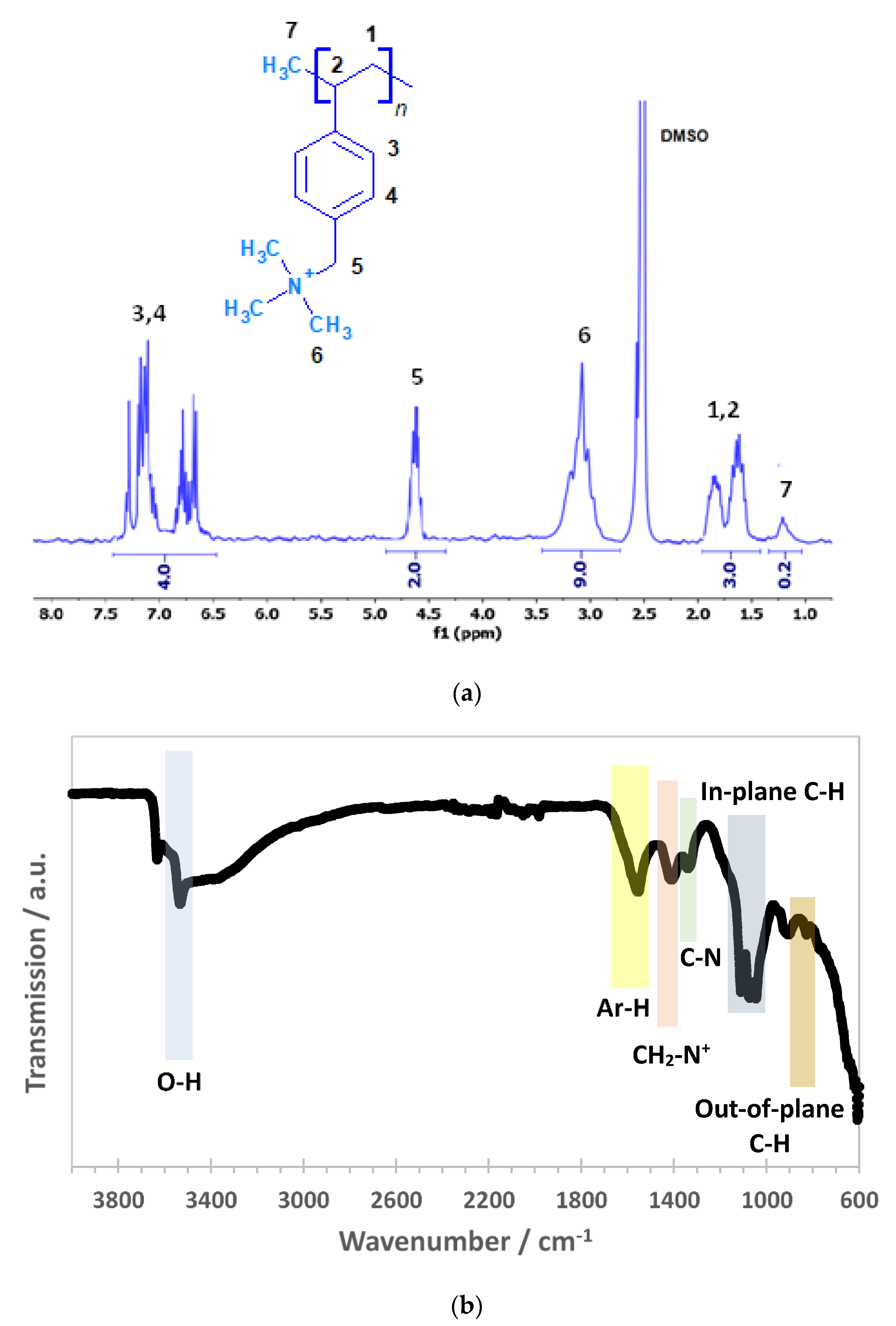 Membranes 13 00680 g002