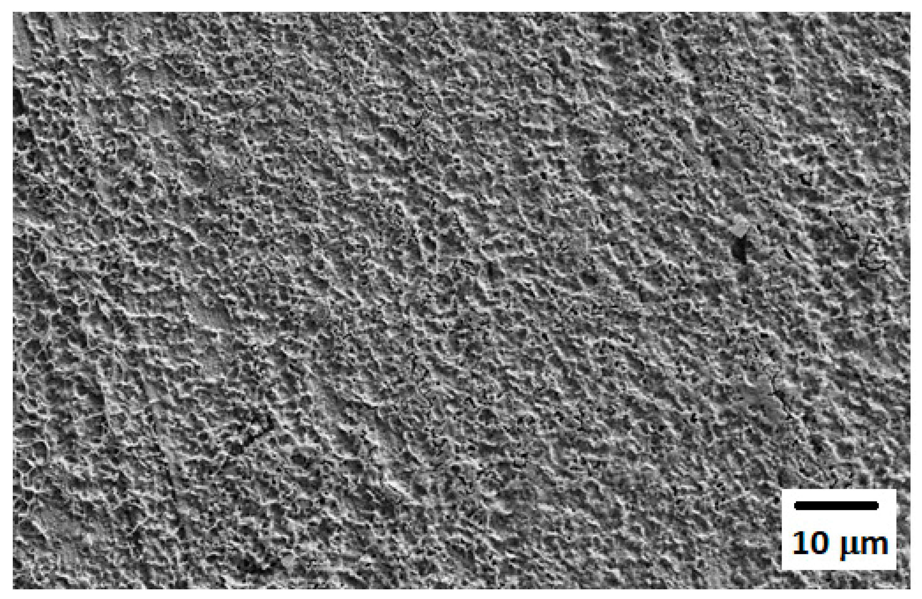 Membranes 13 00680 g004