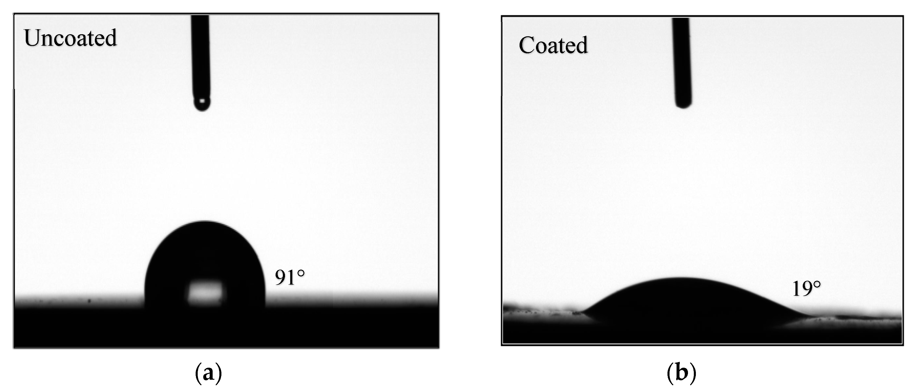 Membranes 13 00680 g005