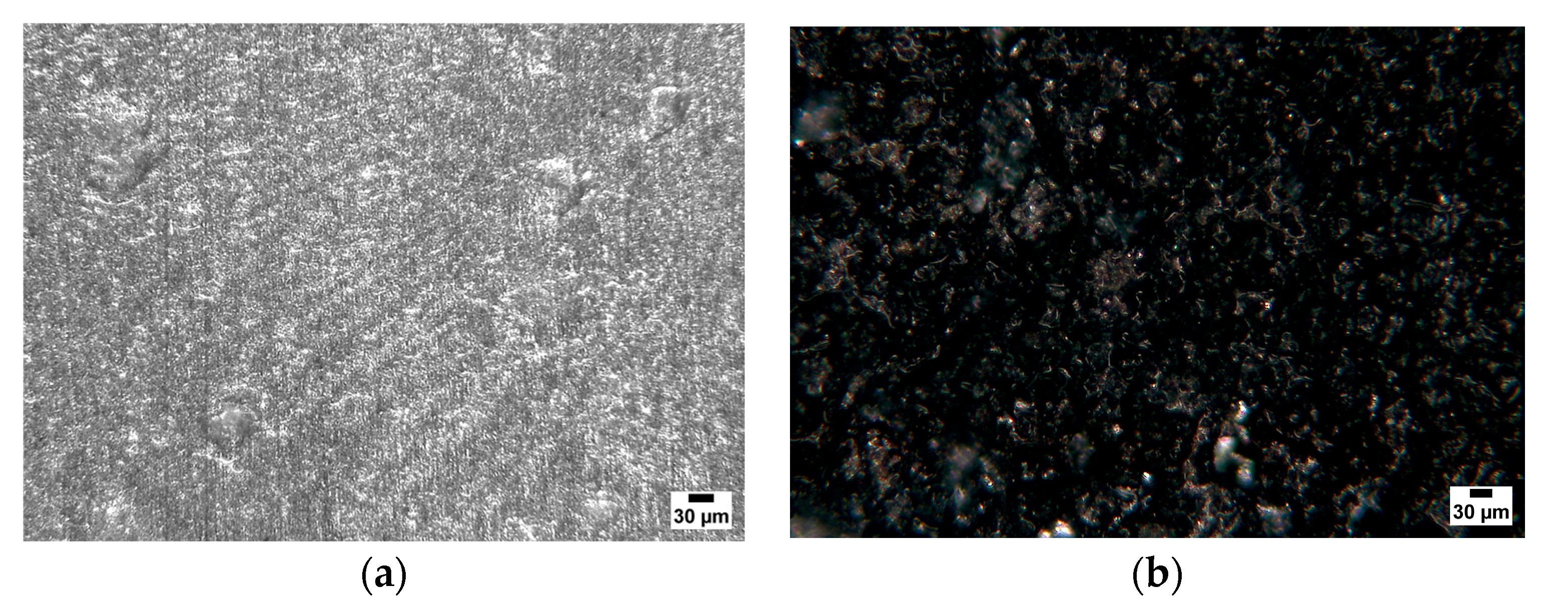 Membranes 13 00680 g010