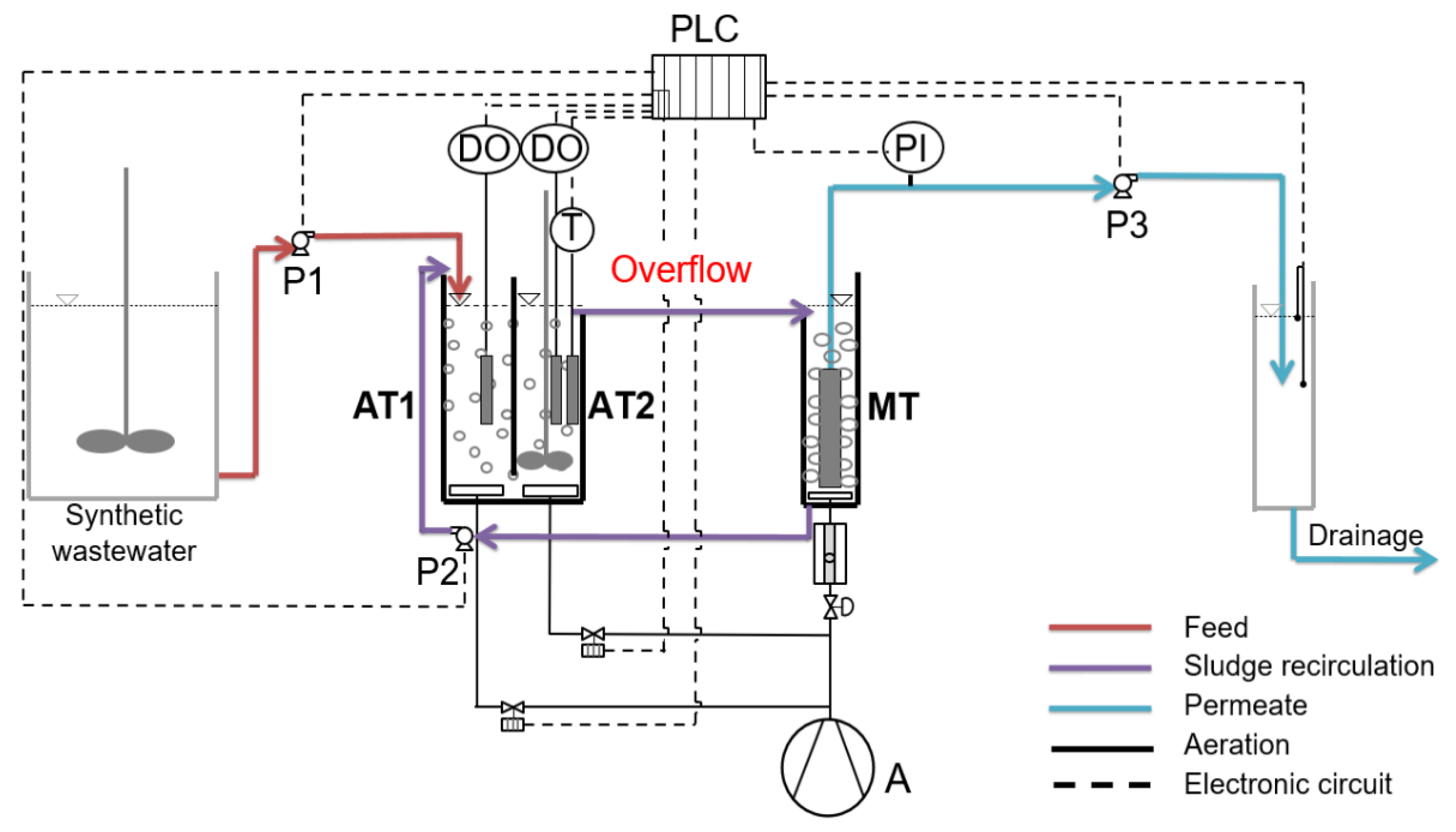 Membranes 13 00690 g001