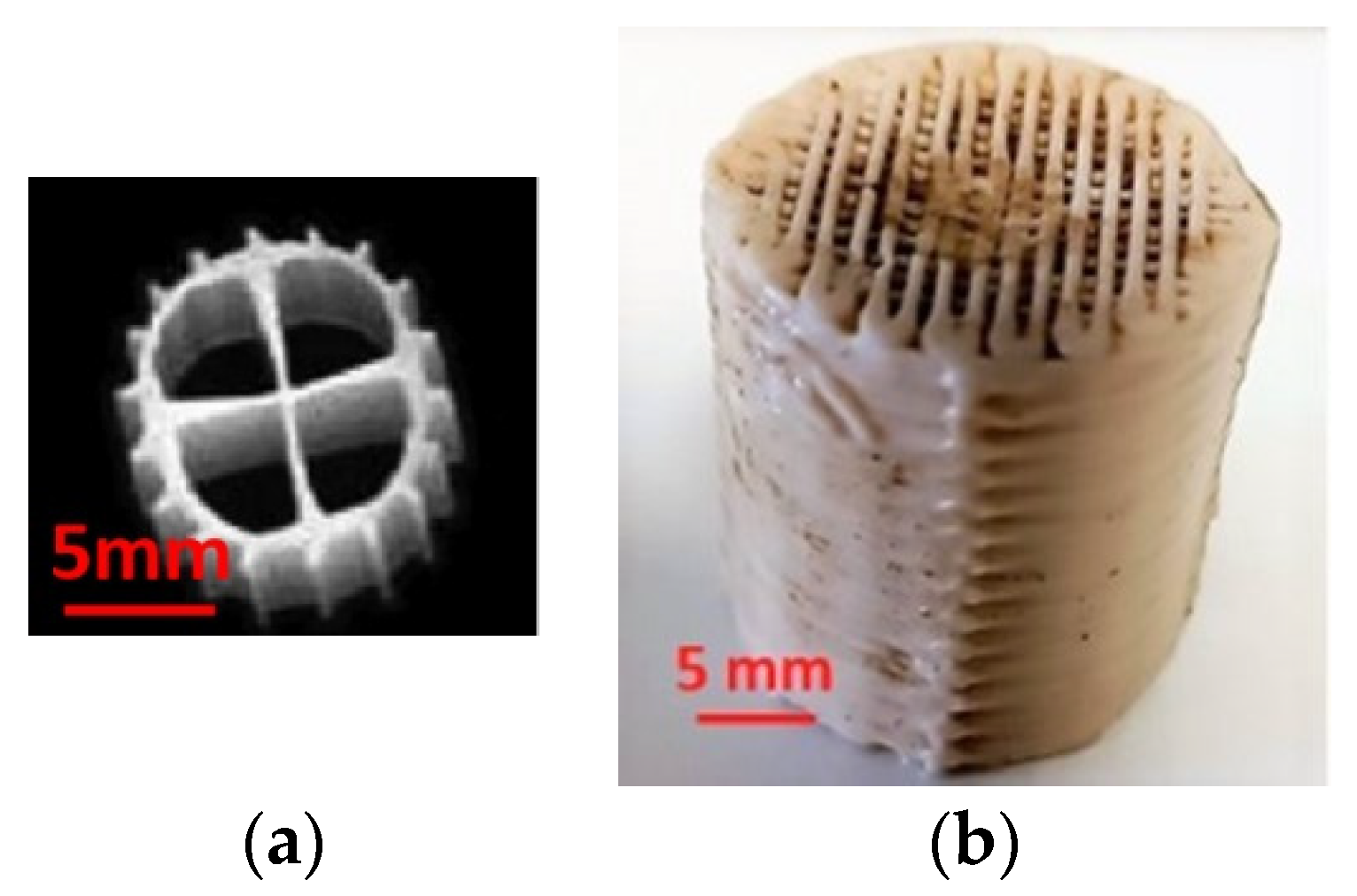 Membranes 13 00690 g003