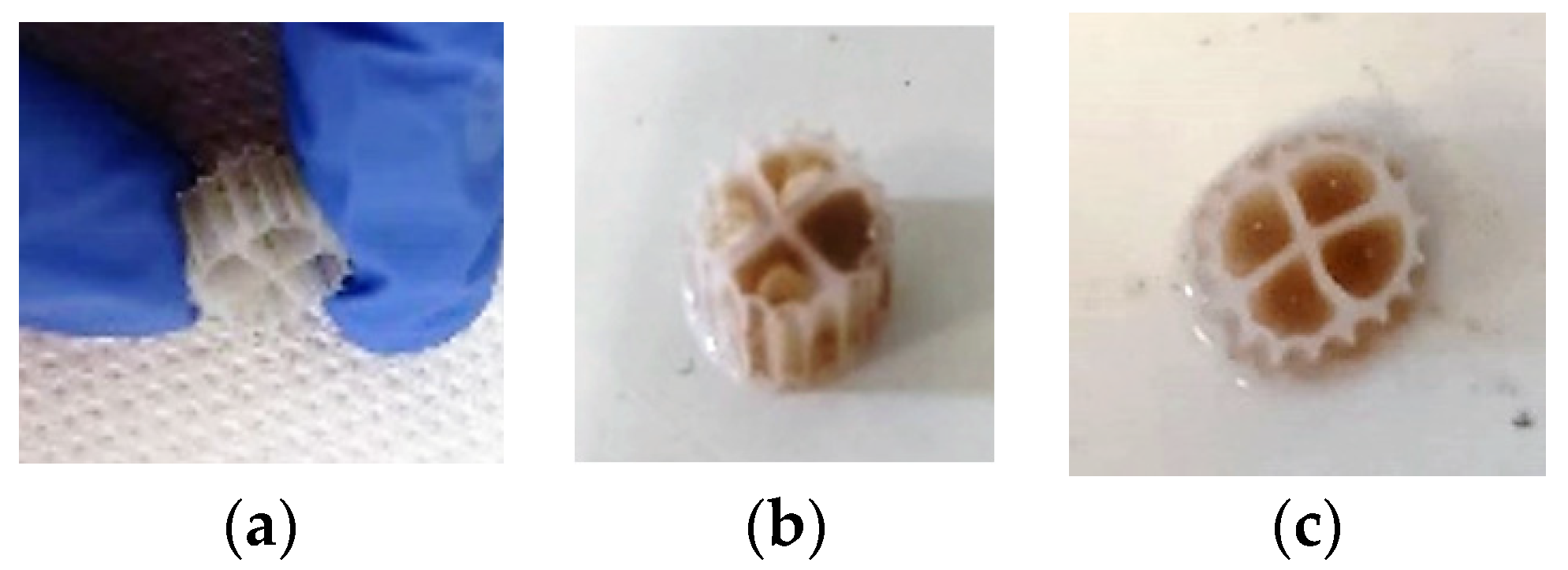 Membranes 13 00690 g015