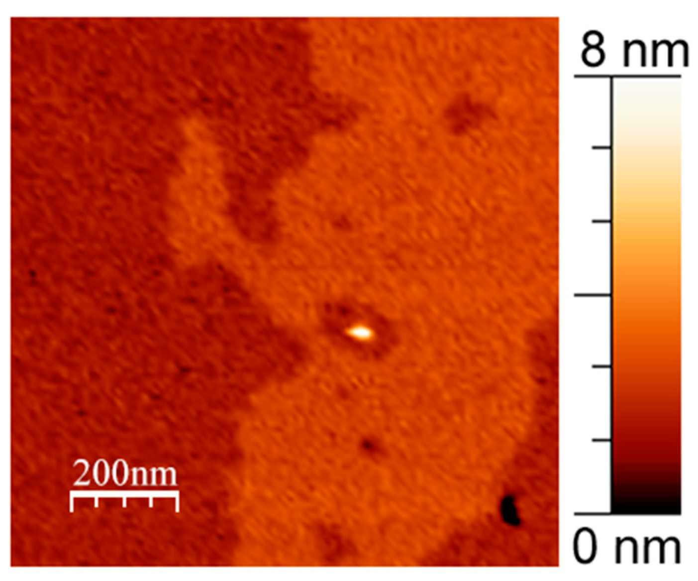 Membranes 13 00706 g002 Membranes 13 00706 g002