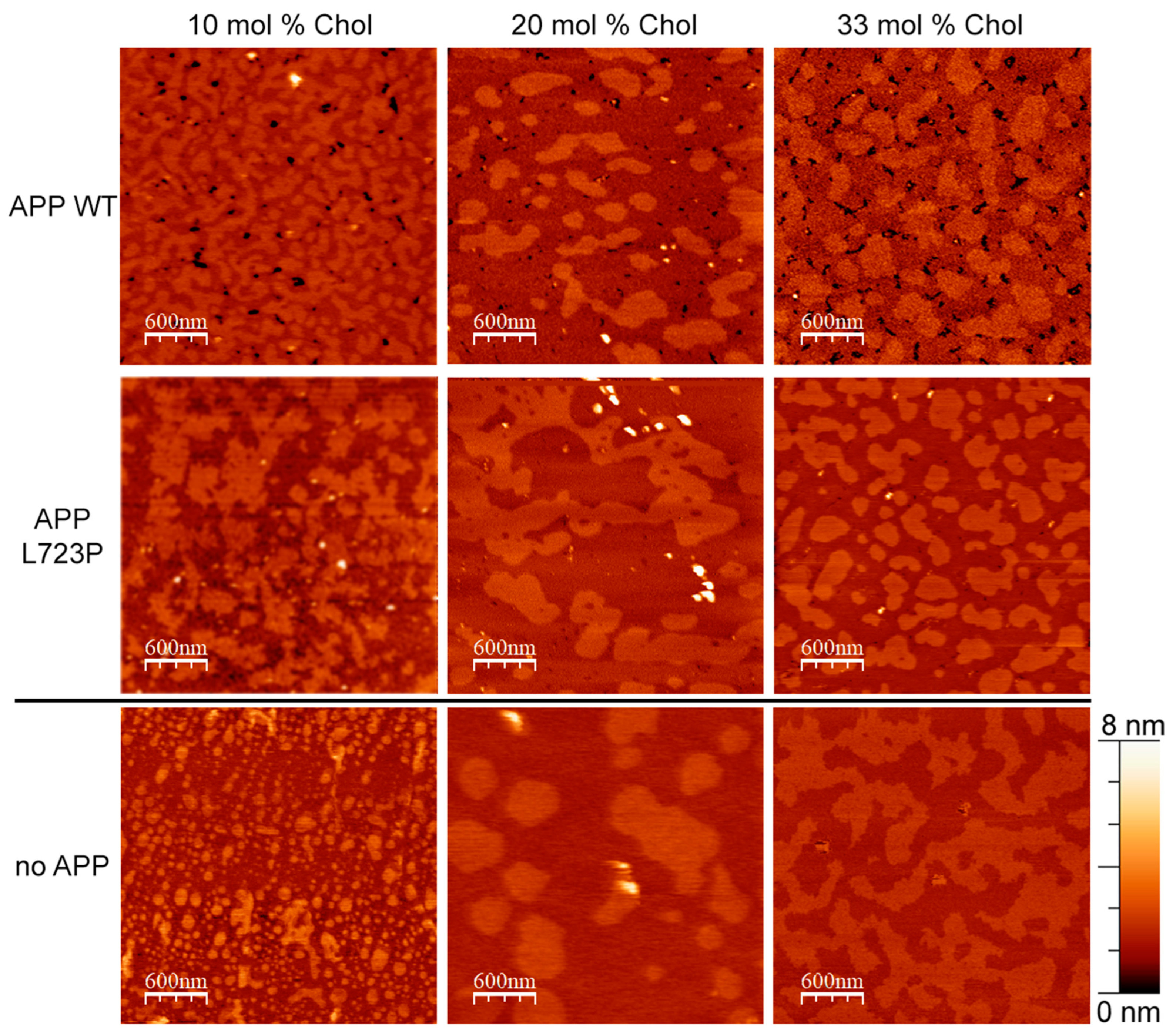 Membranes 13 00706 g003 Membranes 13 00706 g003