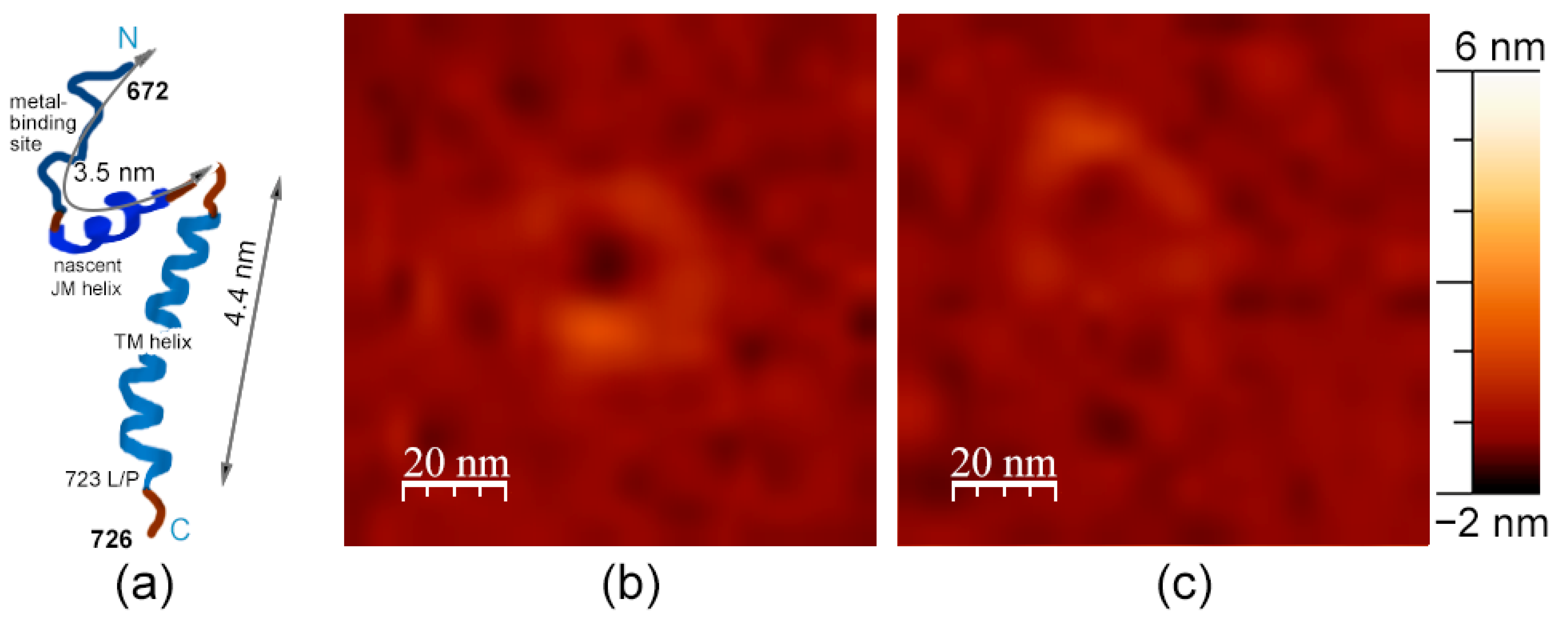 Membranes 13 00706 g005 Membranes 13 00706 g005