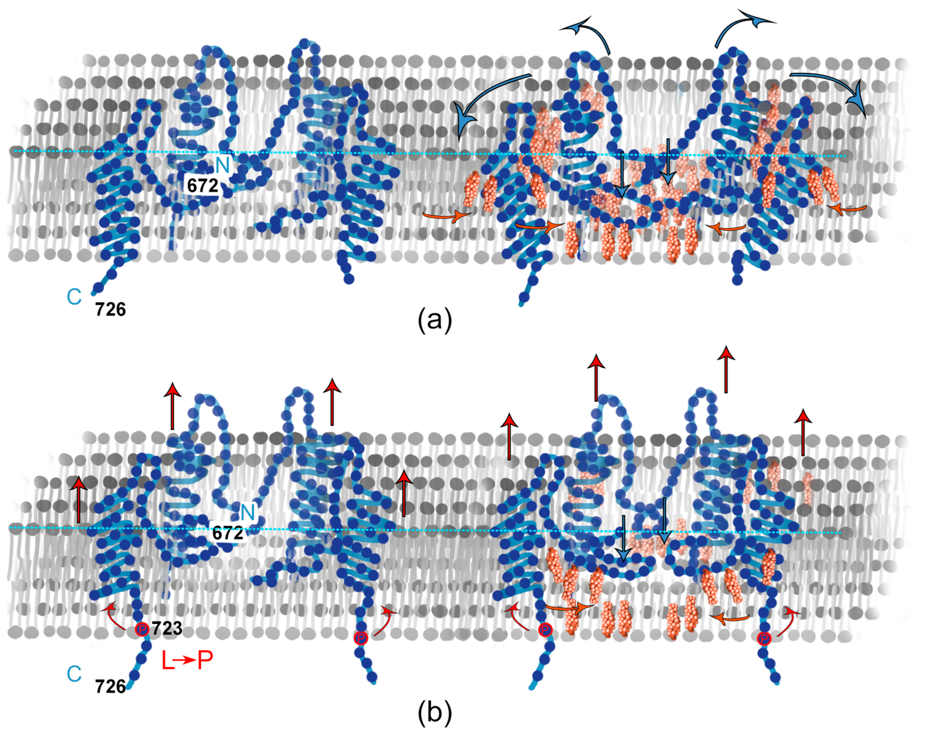 Membranes 13 00706 g006 Membranes 13 00706 g006