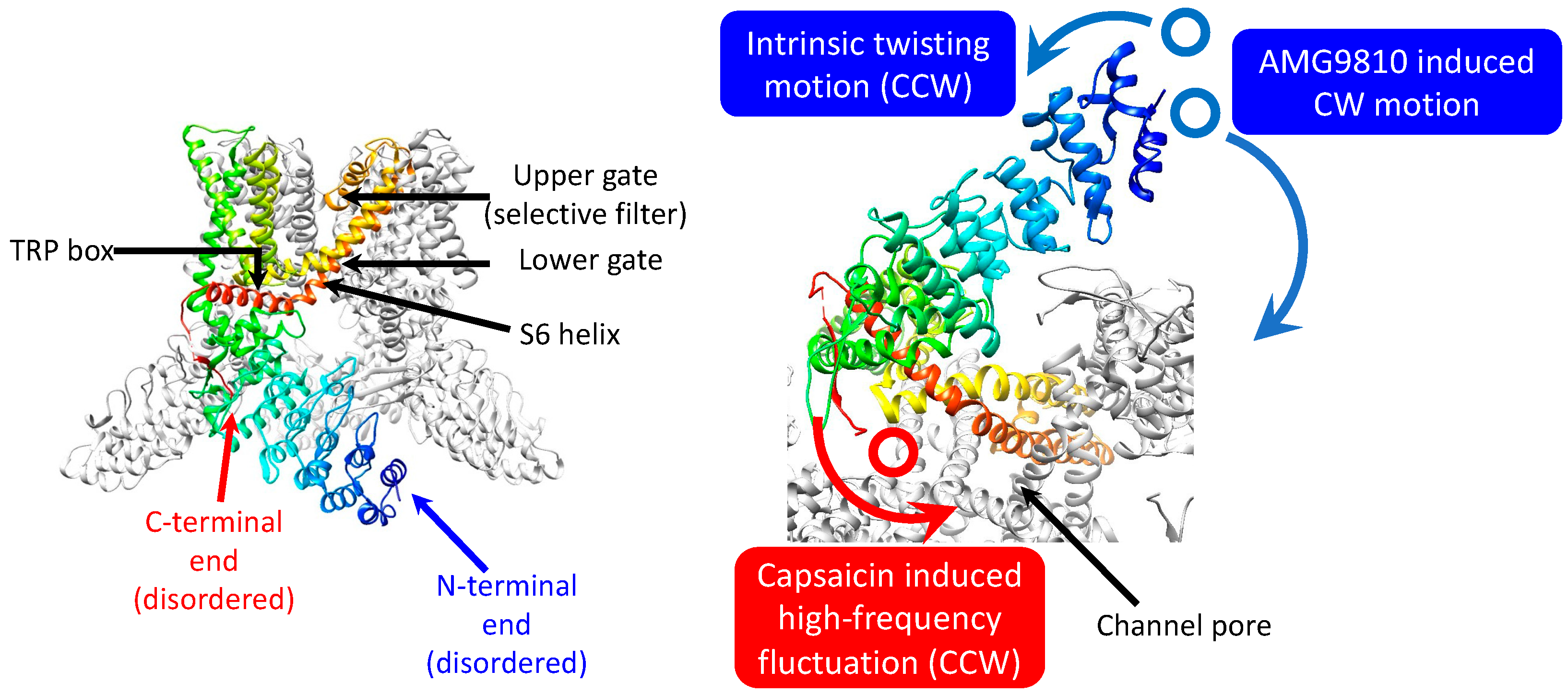 Membranes 13 00708 g005