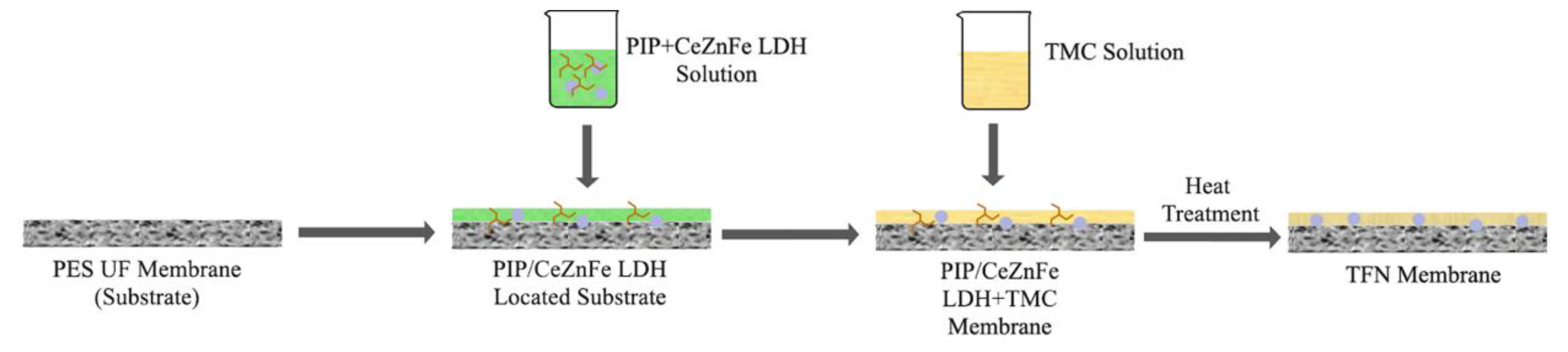 Membranes 13 00711 g001