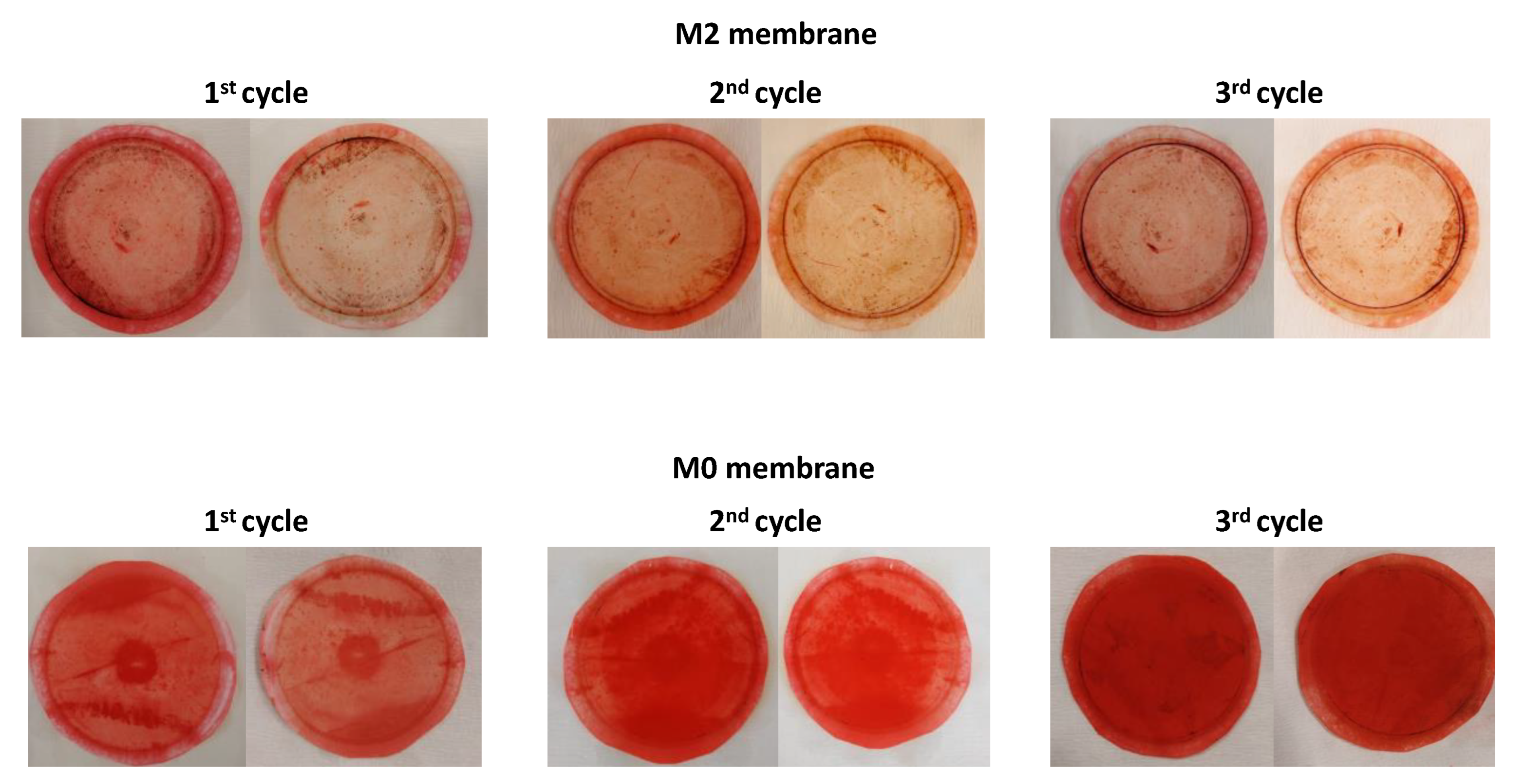 Membranes 13 00711 g009