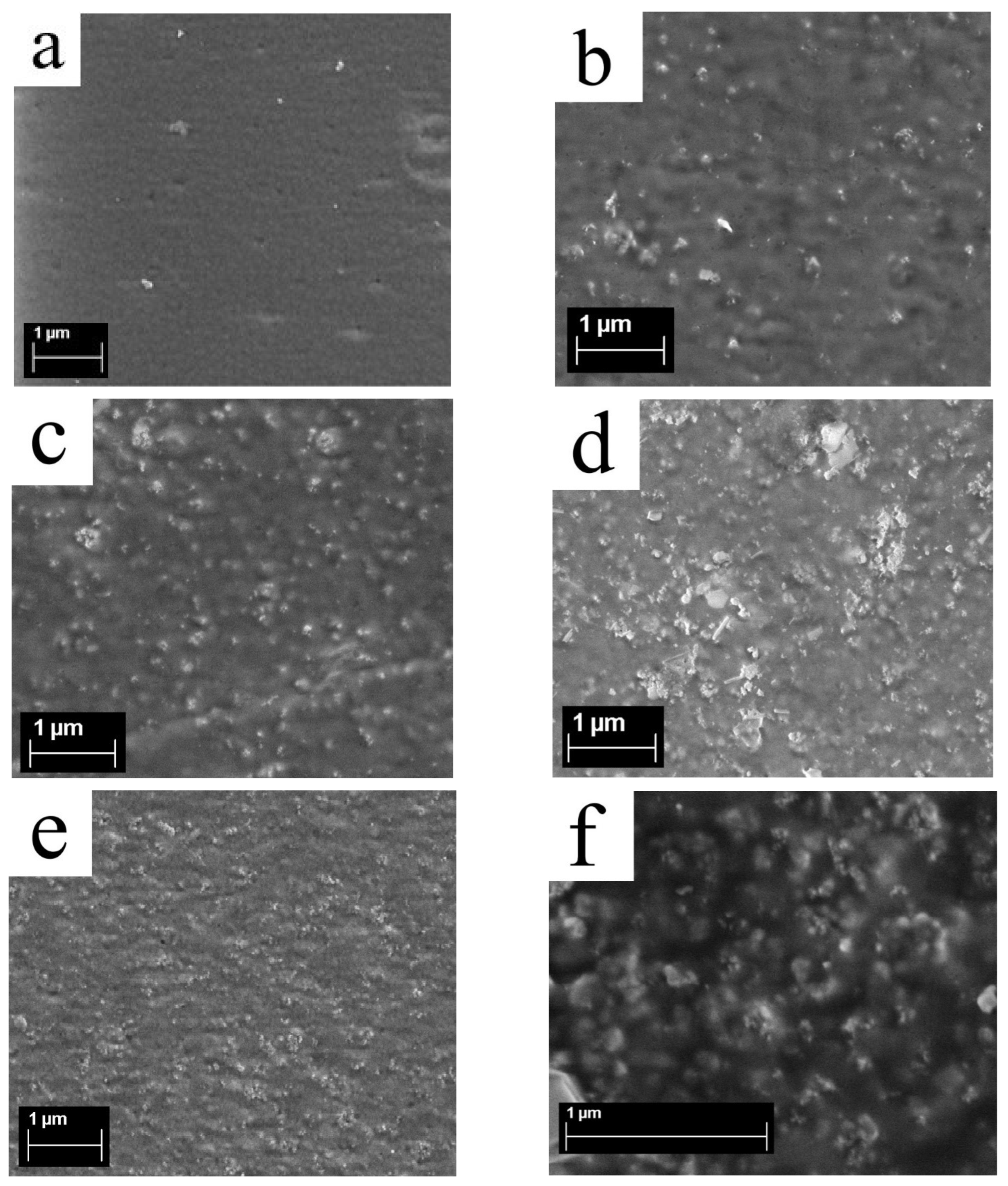 Membranes 13 00712 g008