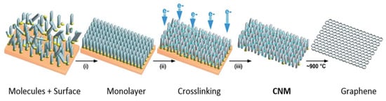 Membranes 13 00713 g006