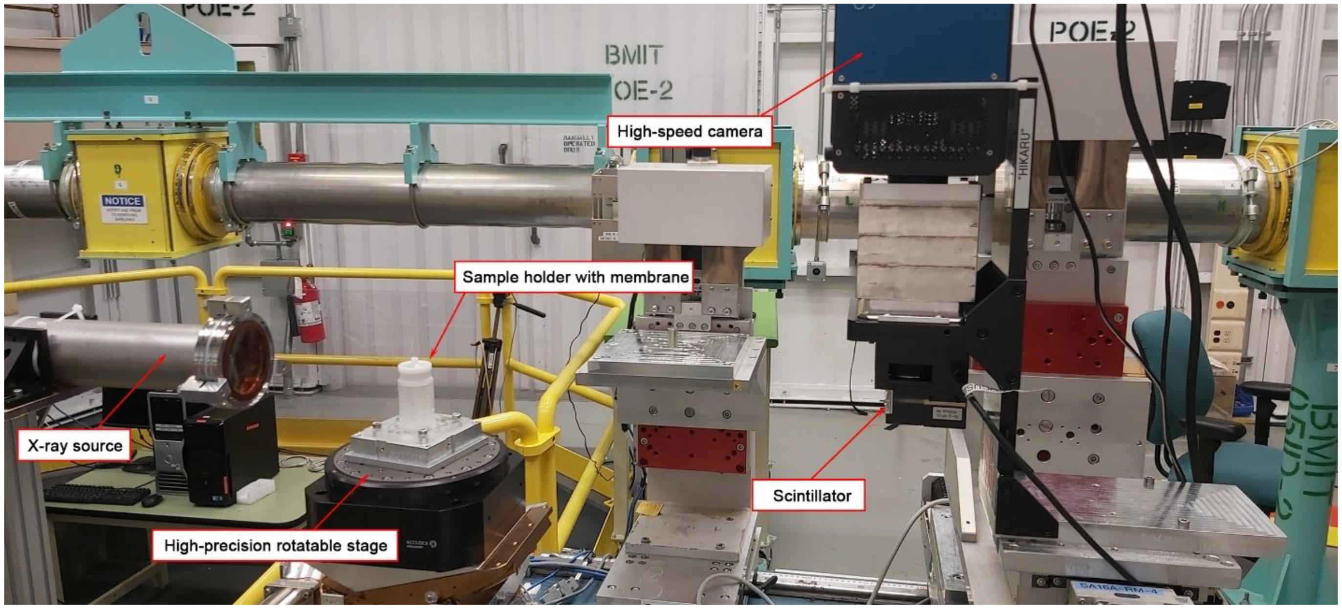 Membranes 13 00718 g001